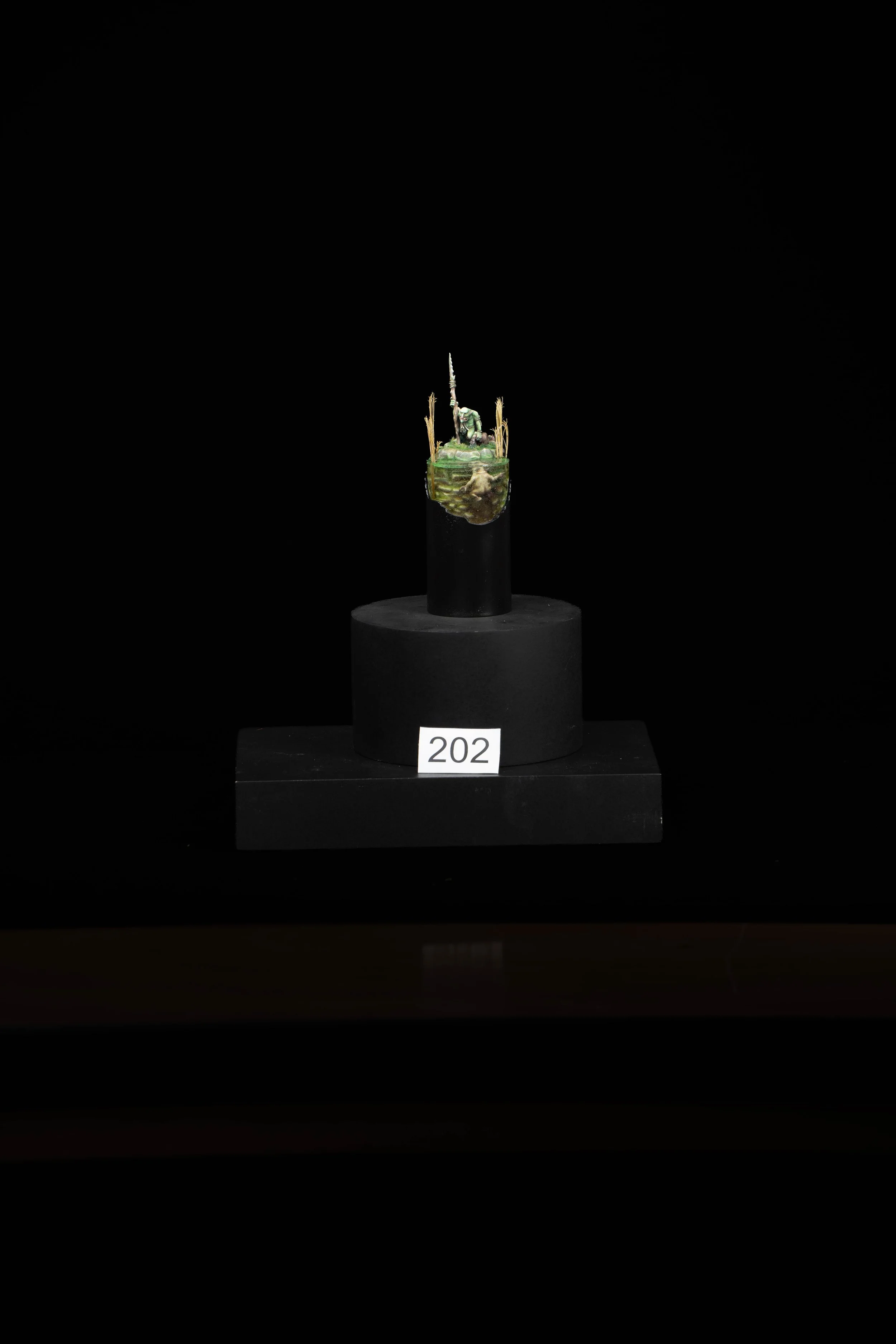 202.jpg