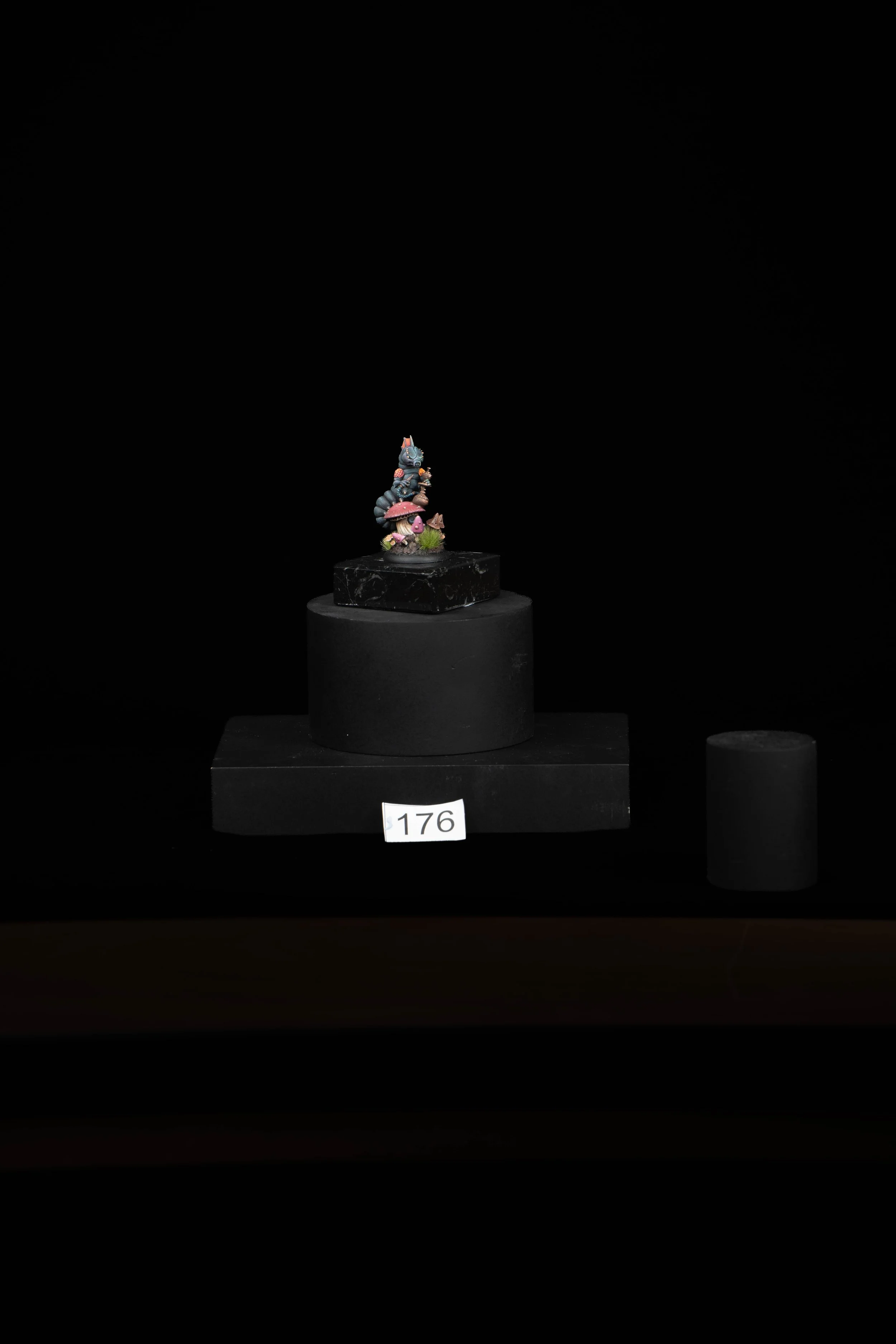 176.jpg