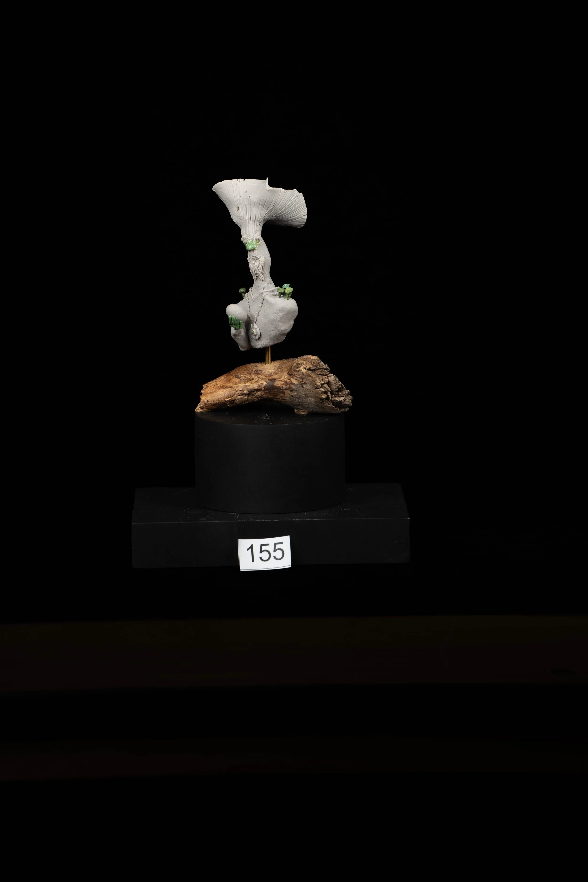 155.jpg
