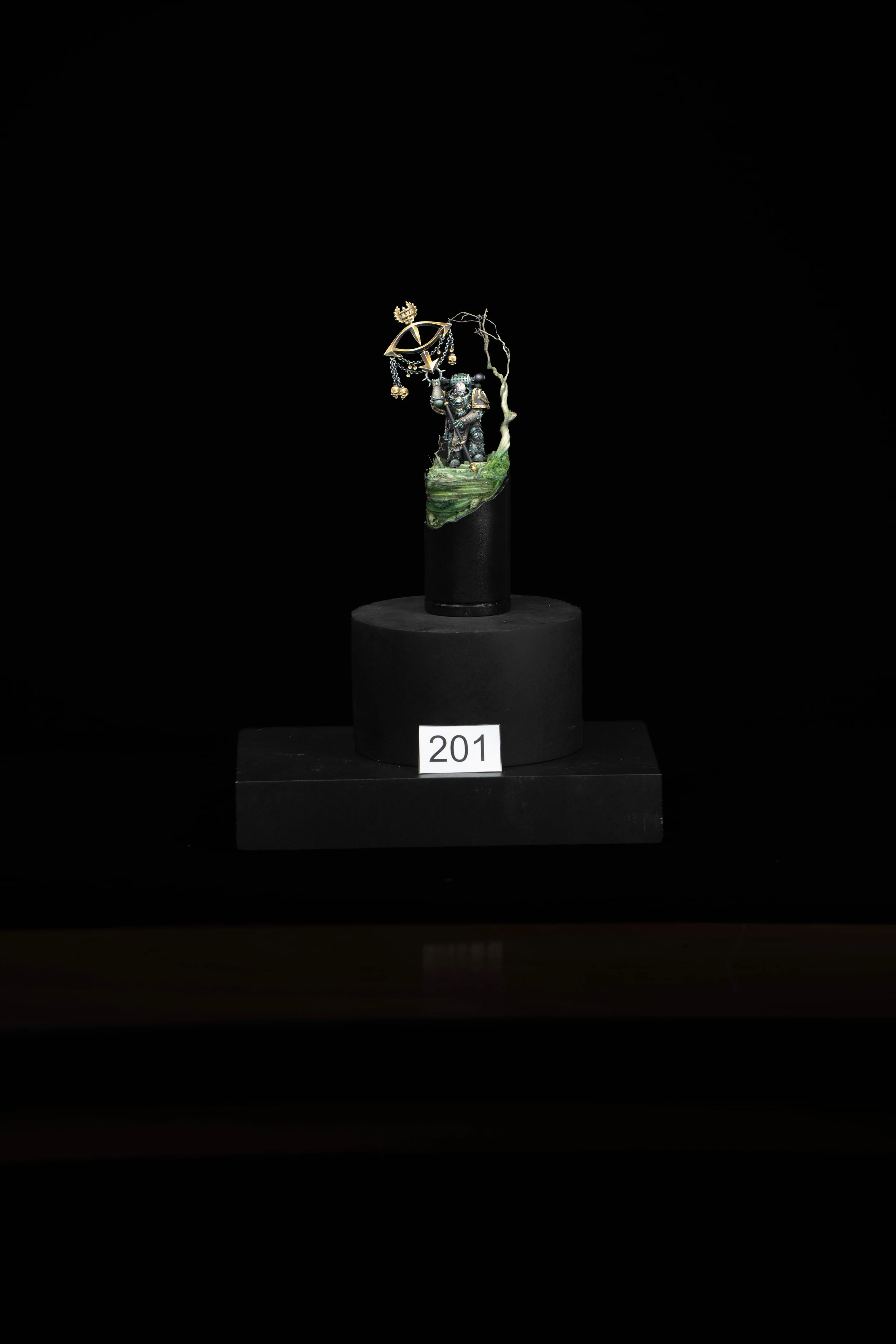 201.jpg