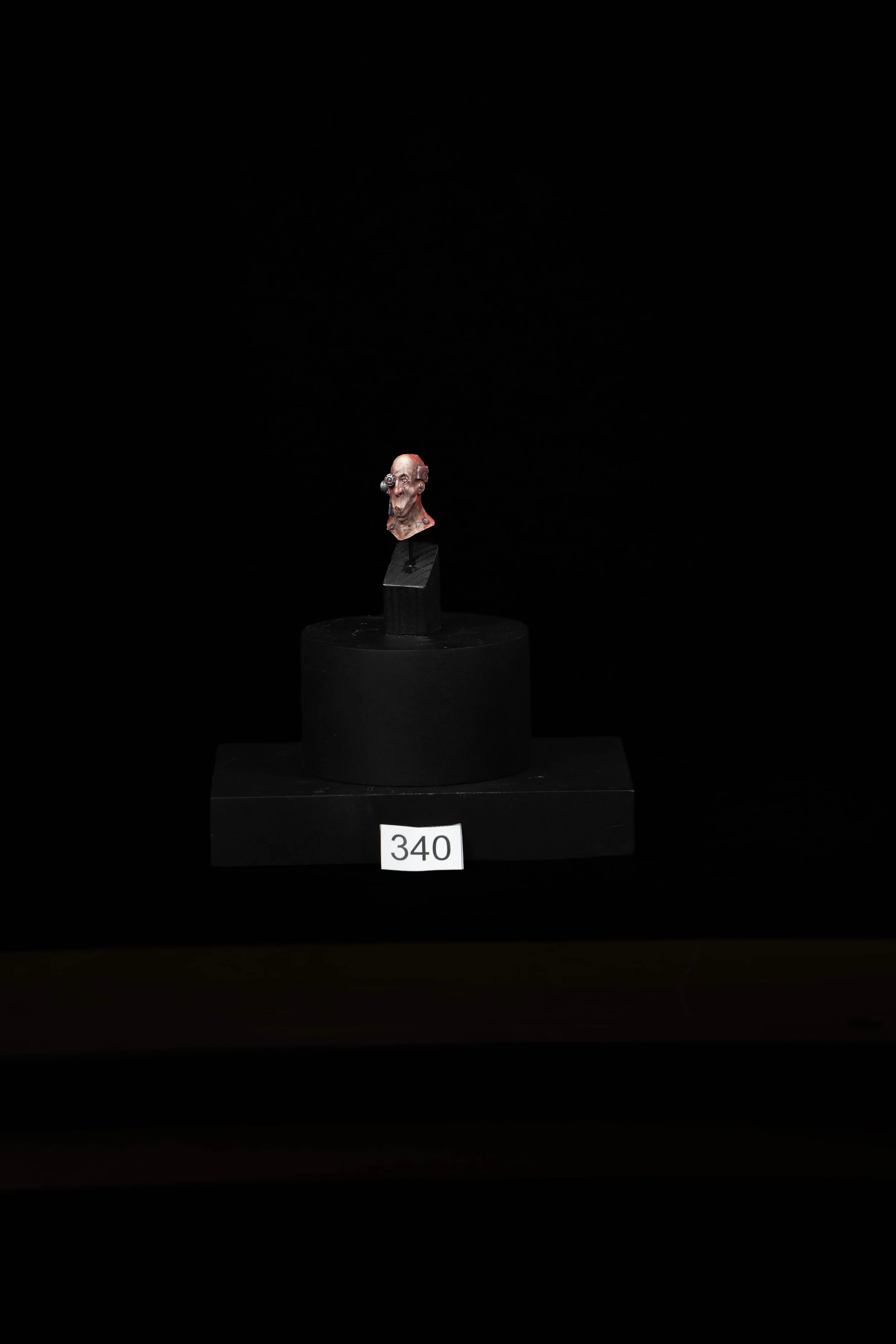 340.jpg