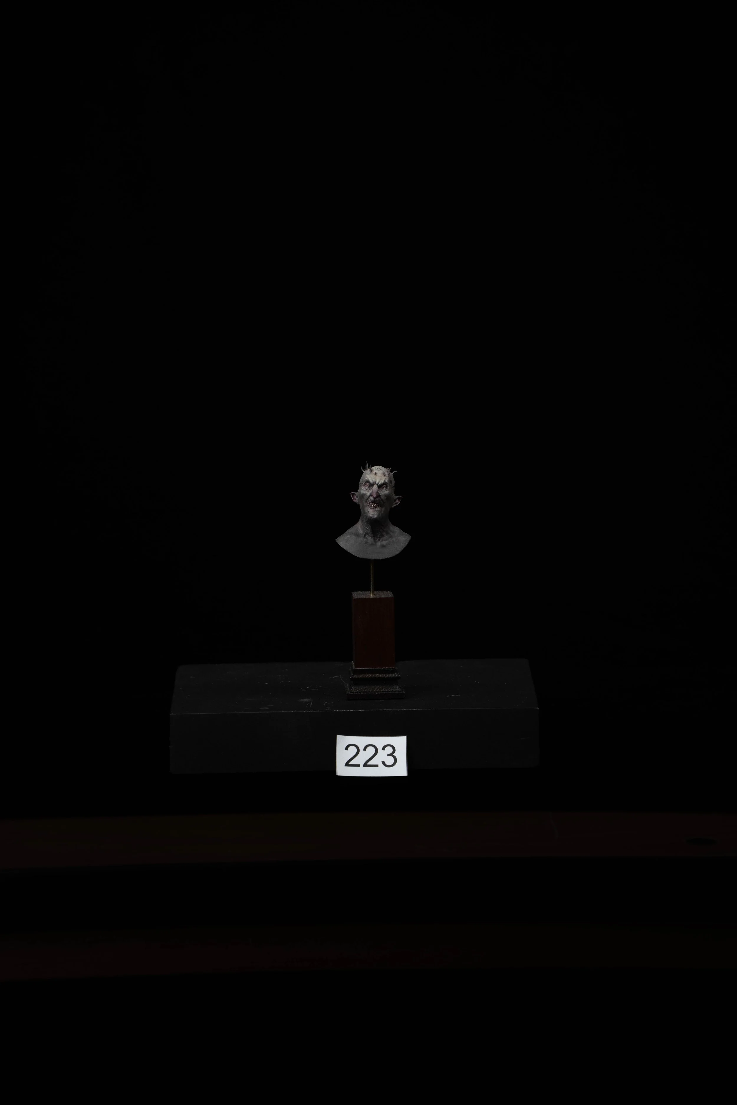 223.jpg