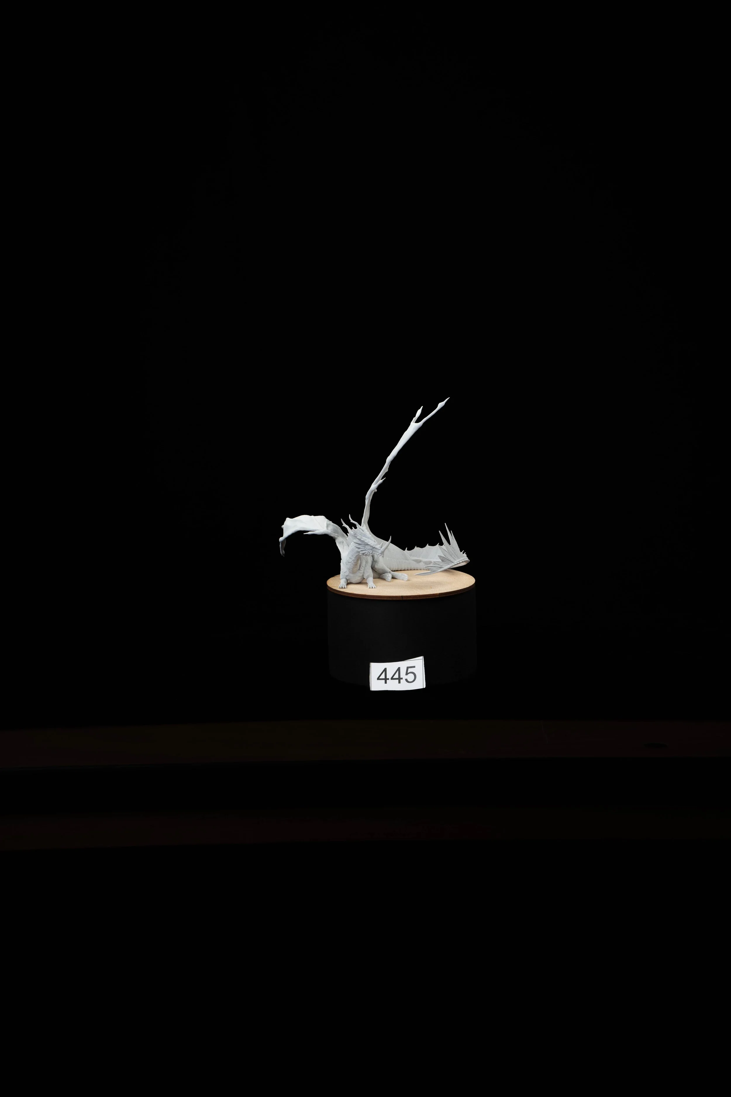 445.jpg