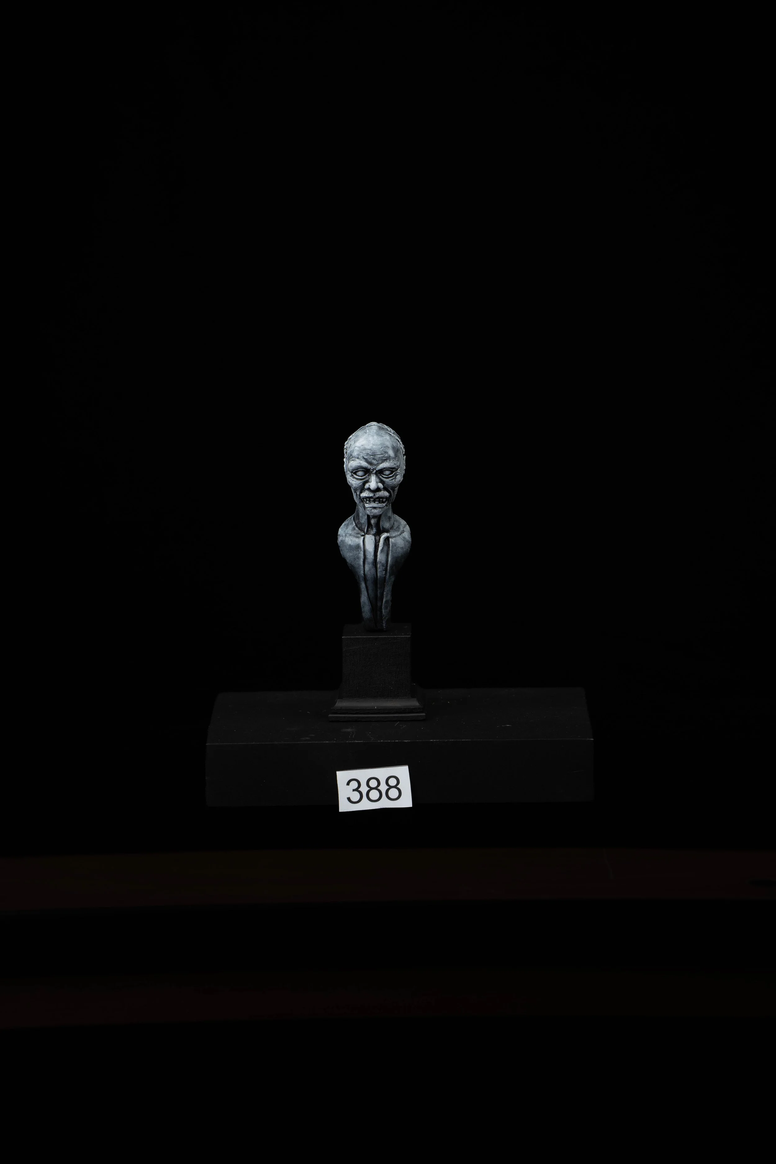 388.jpg