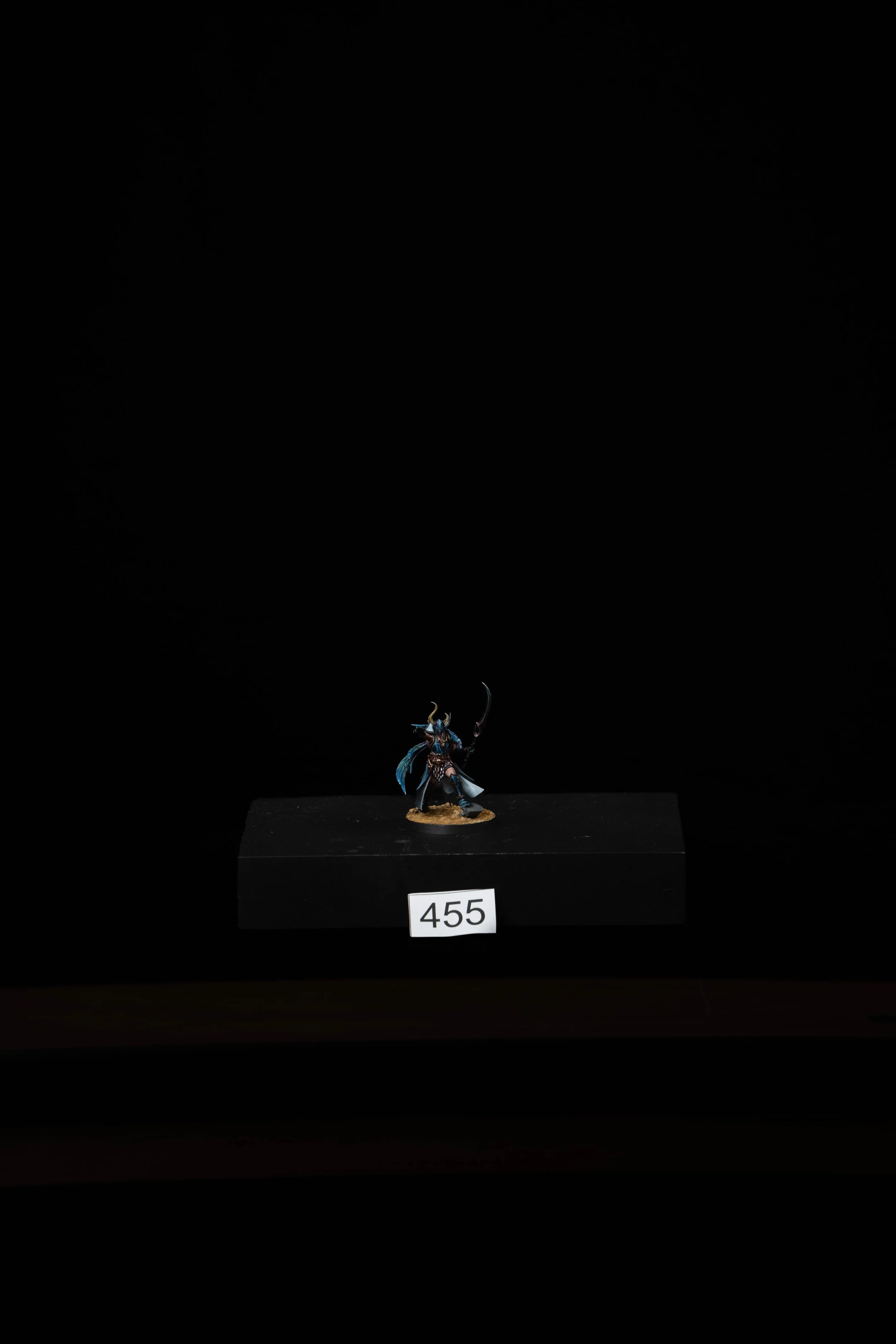 455.jpg