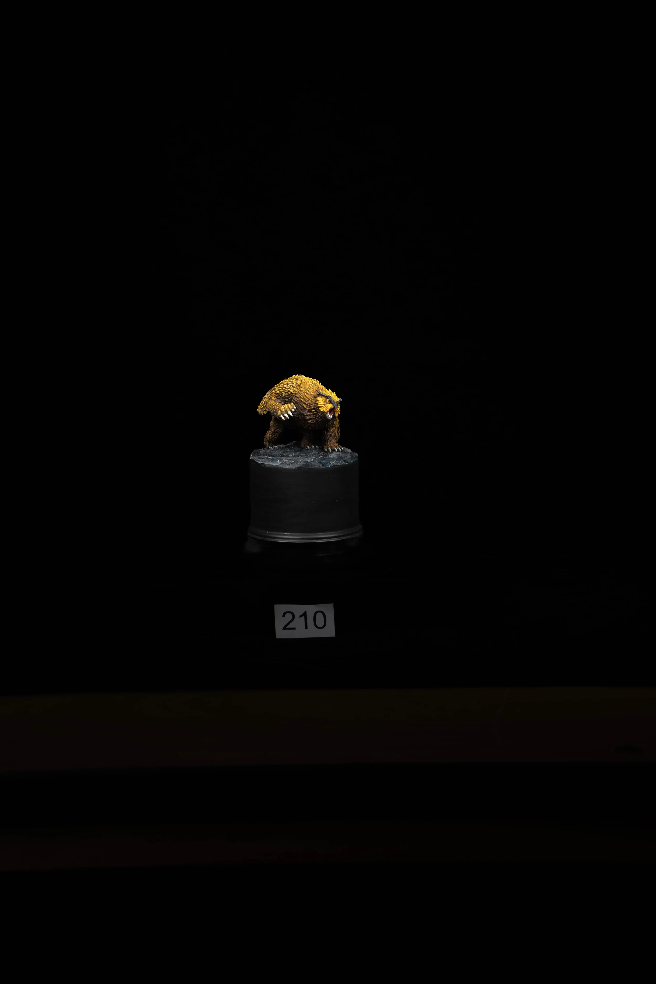 210.jpg
