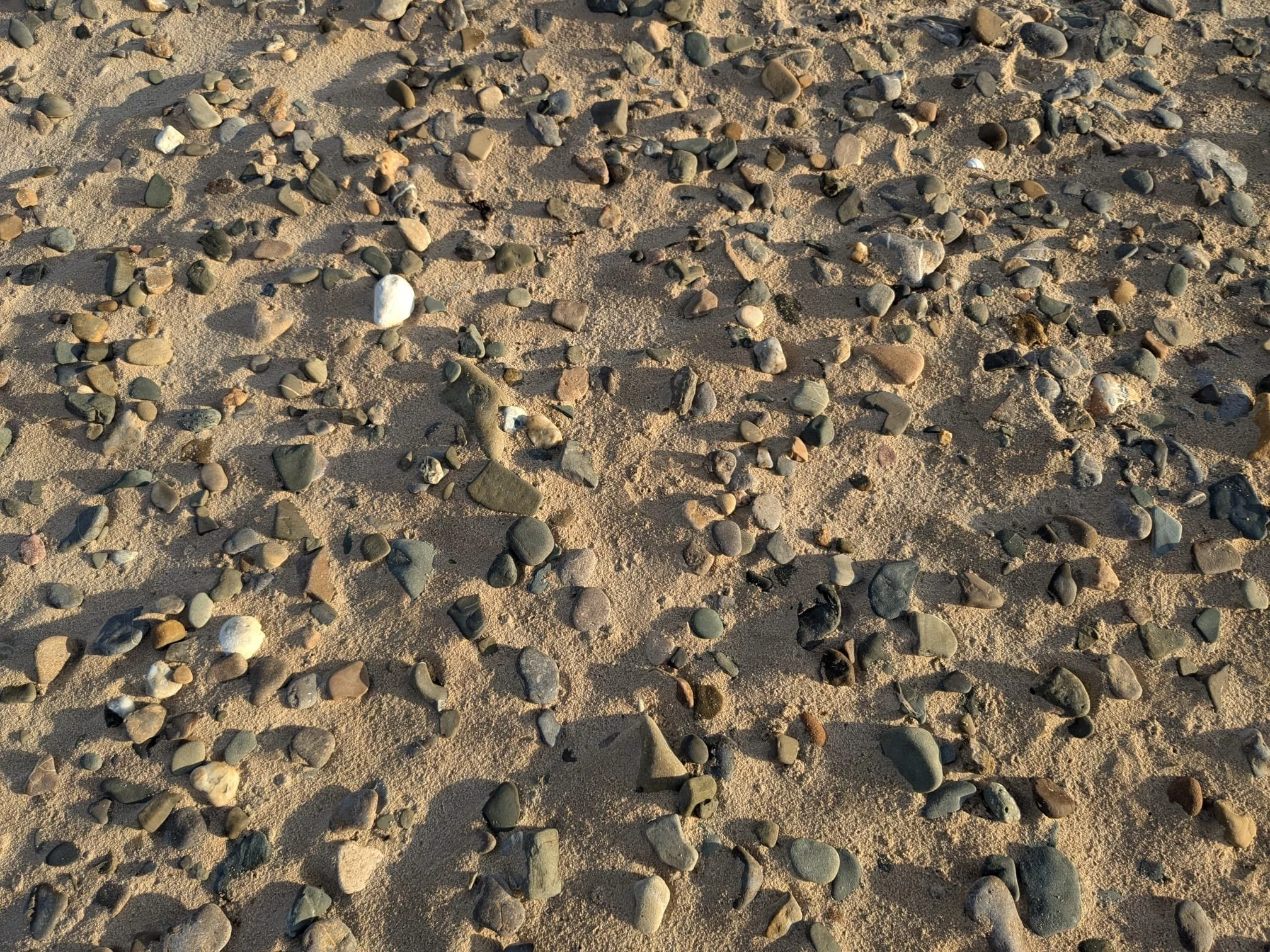 Een close-up van een zandstrand met allerlei kleine en middelgrote keien gelegd dat door de zon wordt verlicht.