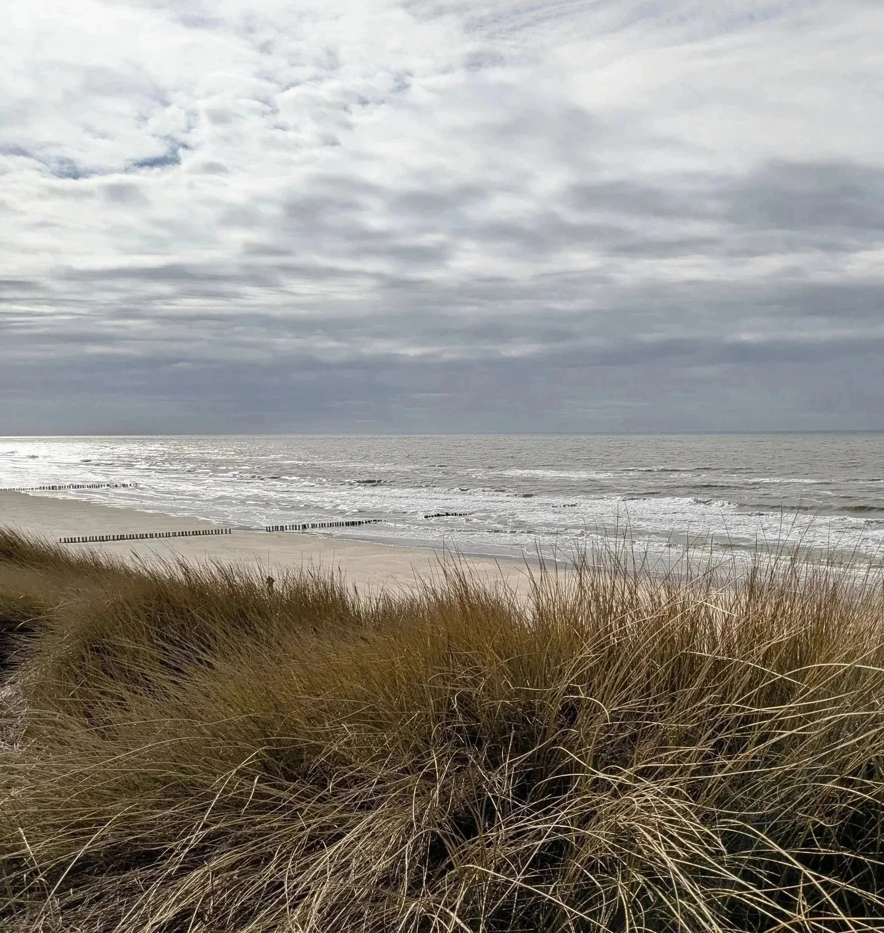 Strand met golvend zand en tuftgras onder een bewolkte hemel