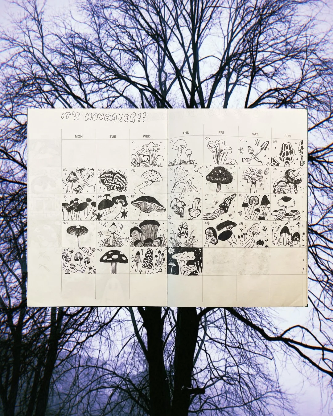 A-Year-In-Doodles_2023-2024_7.jpg