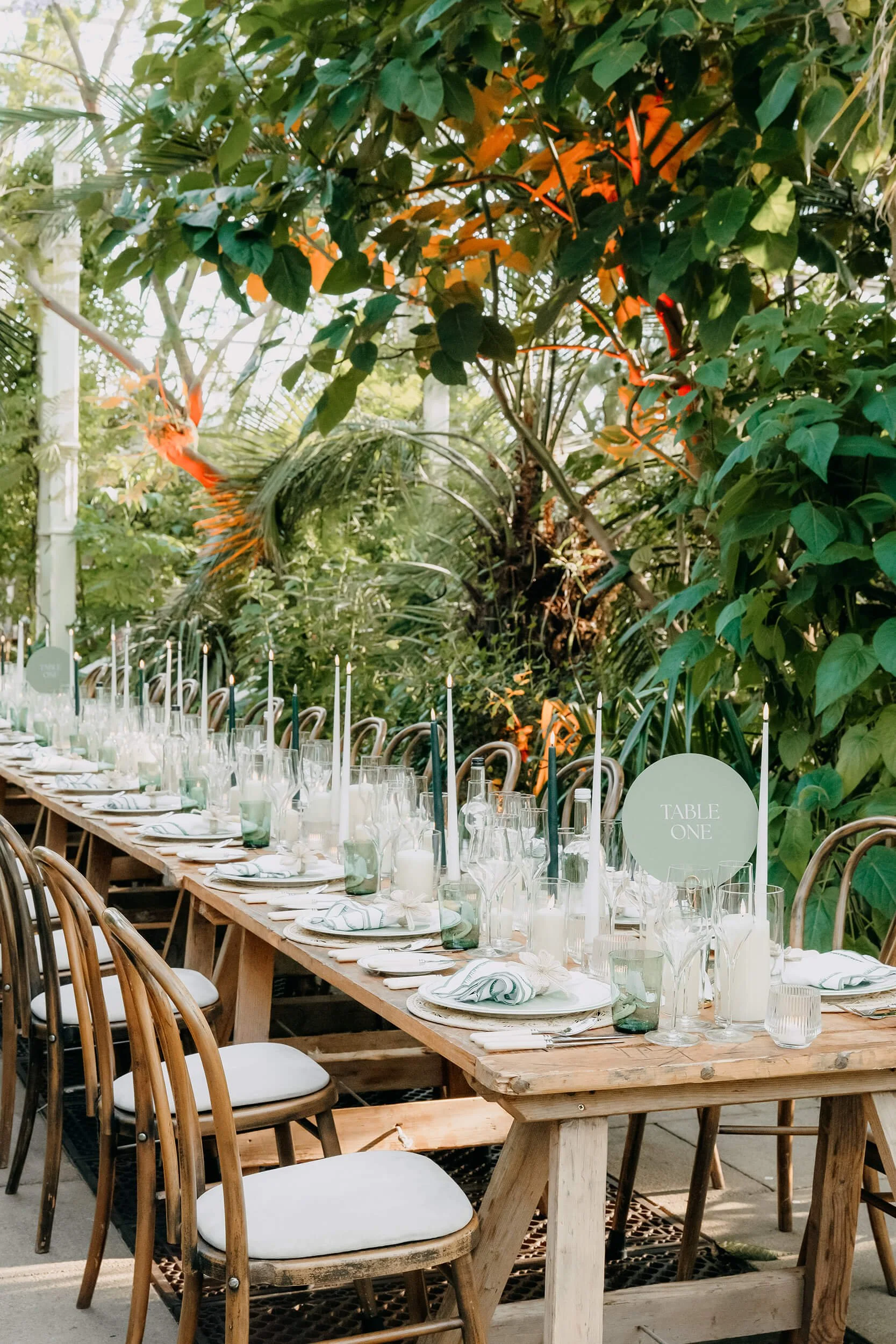 Long wooden table set for a meal with white napkins, glasses, and candles, surrounded by wooden chairs with white cushions, in an outdoor garden setting with lush green plants and trees.