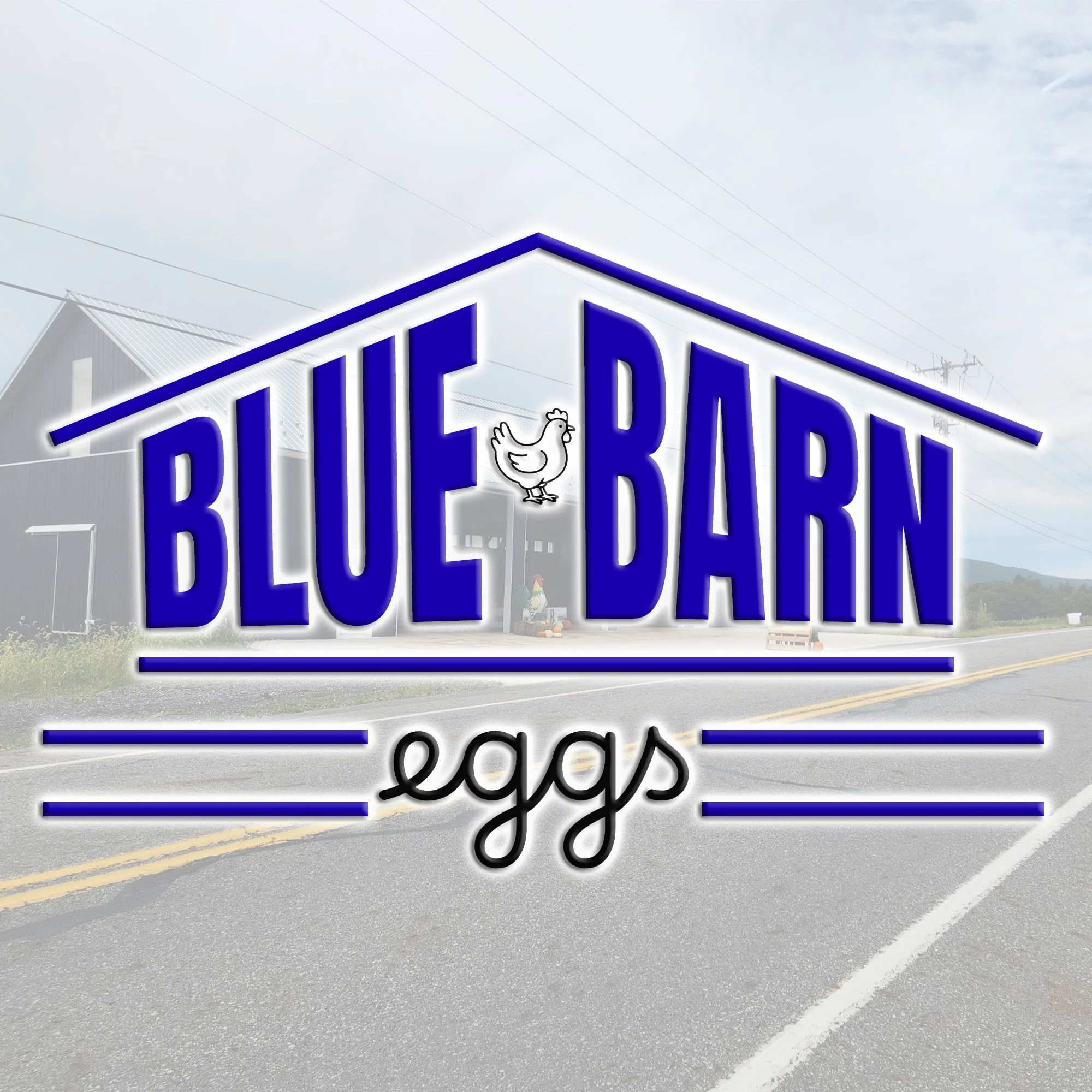 BlueBarnEggs.jpg