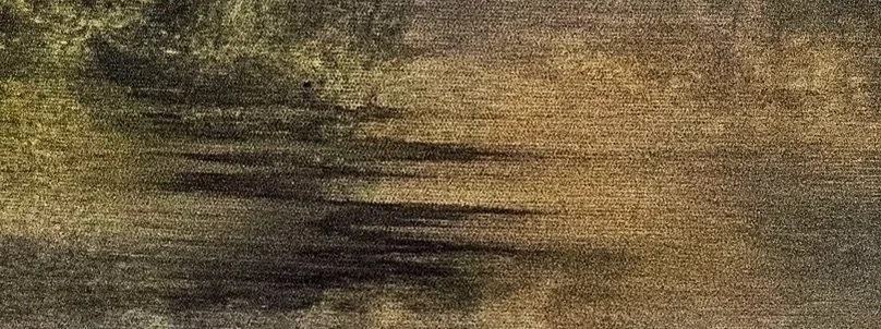 E2F00BDF-D3ED-4D8F-86E1-D10BBD4A8D65_4_5005_c.jpeg