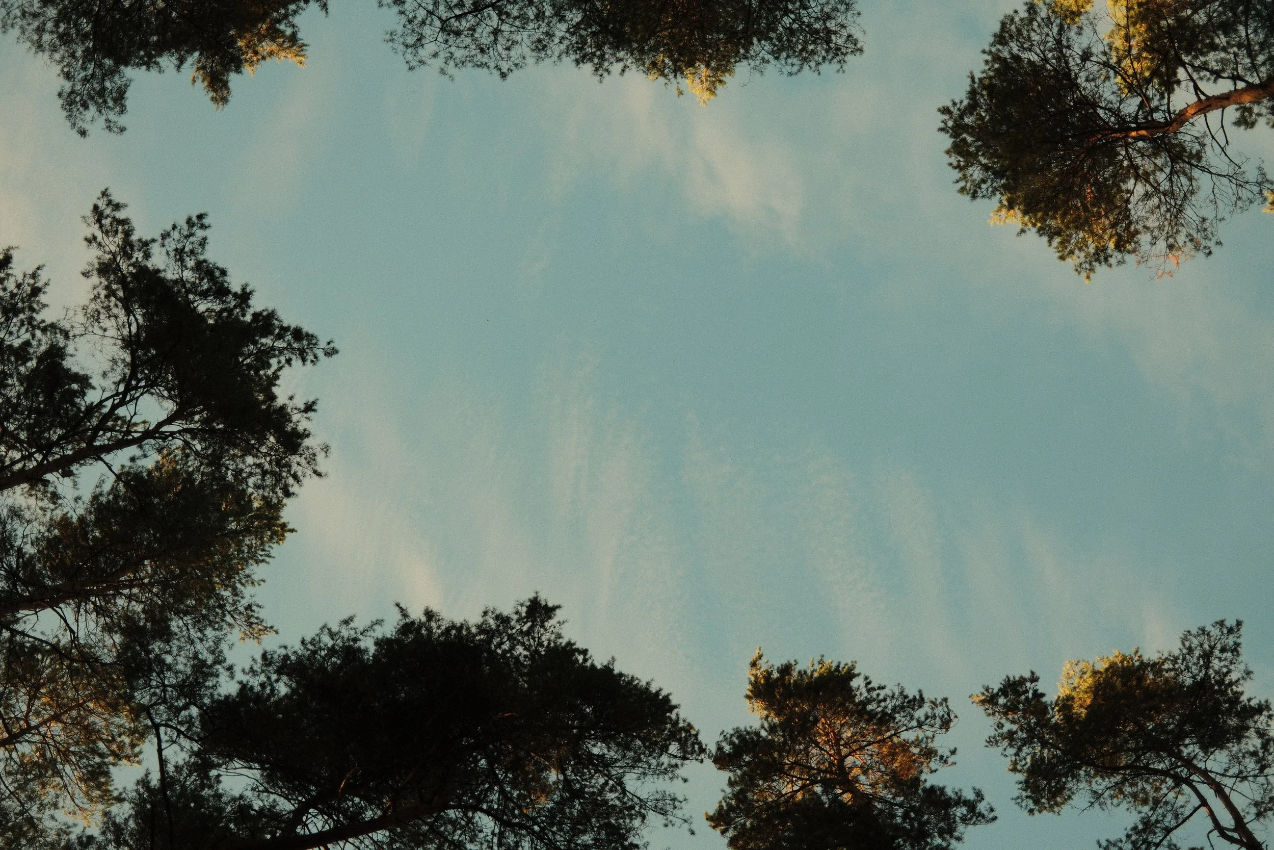 DSCF3318.JPG