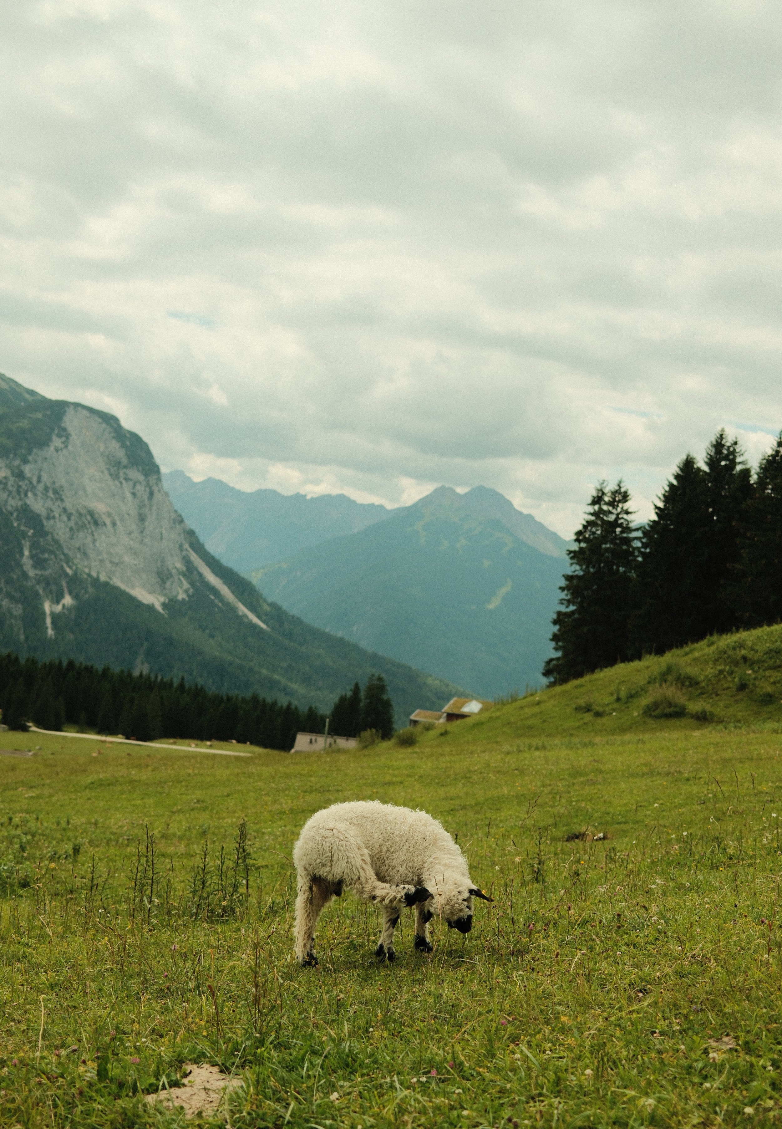 DSCF4930.JPG