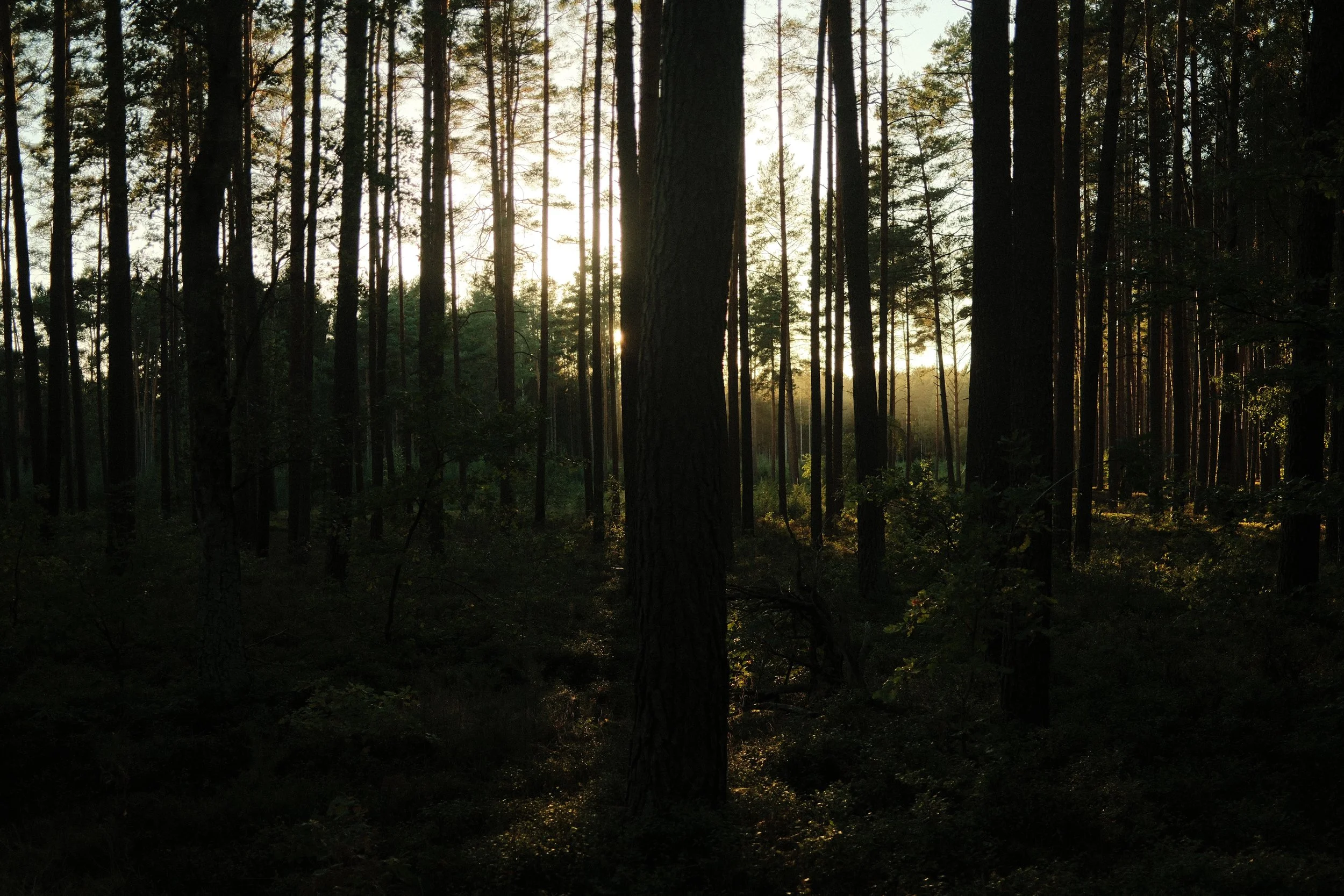 DSCF3321.JPG