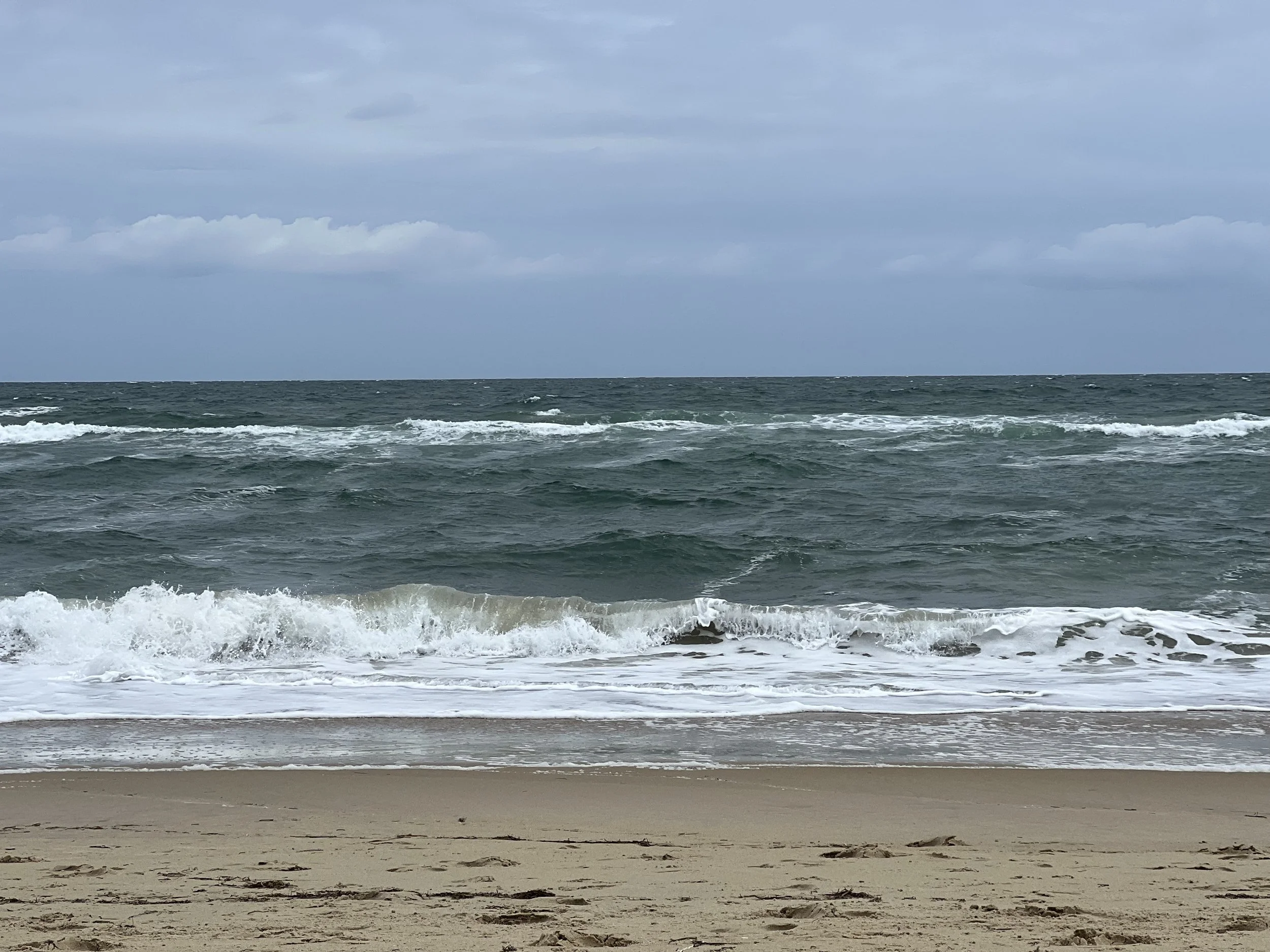 IMG_2158.jpeg