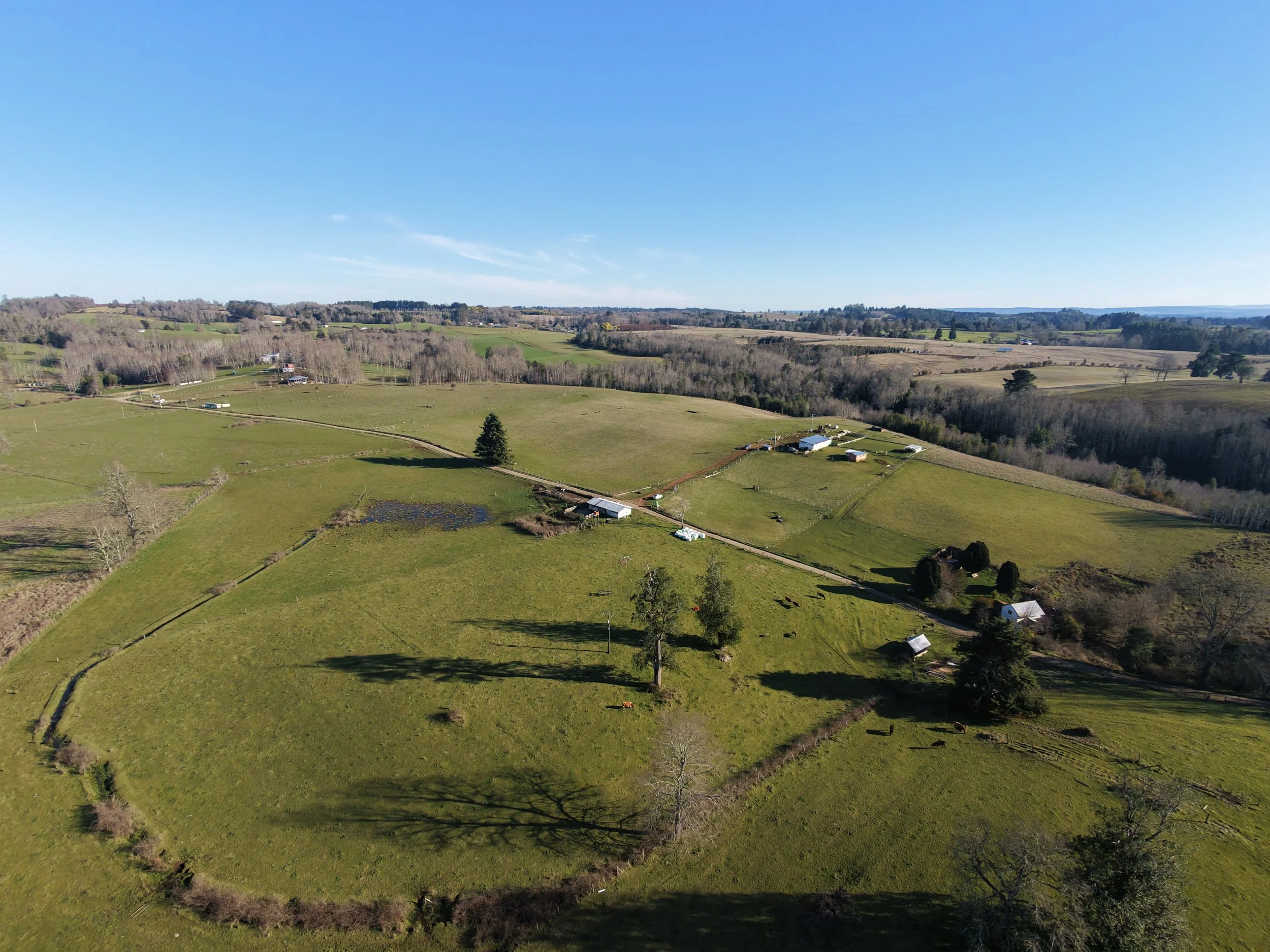 DJI_20260823162343_0044_D.JPG