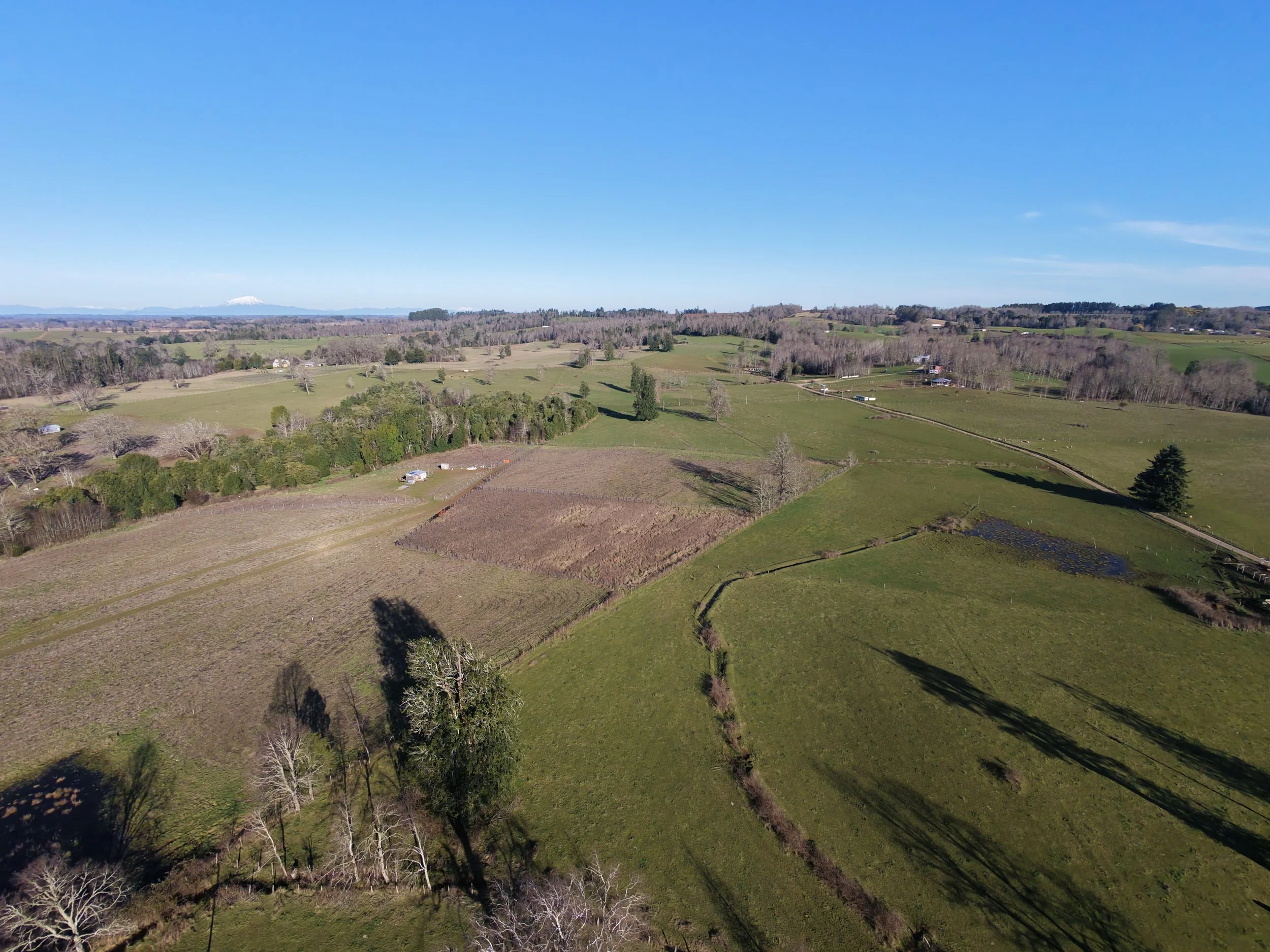 DJI_20260823162334_0042_D.JPG