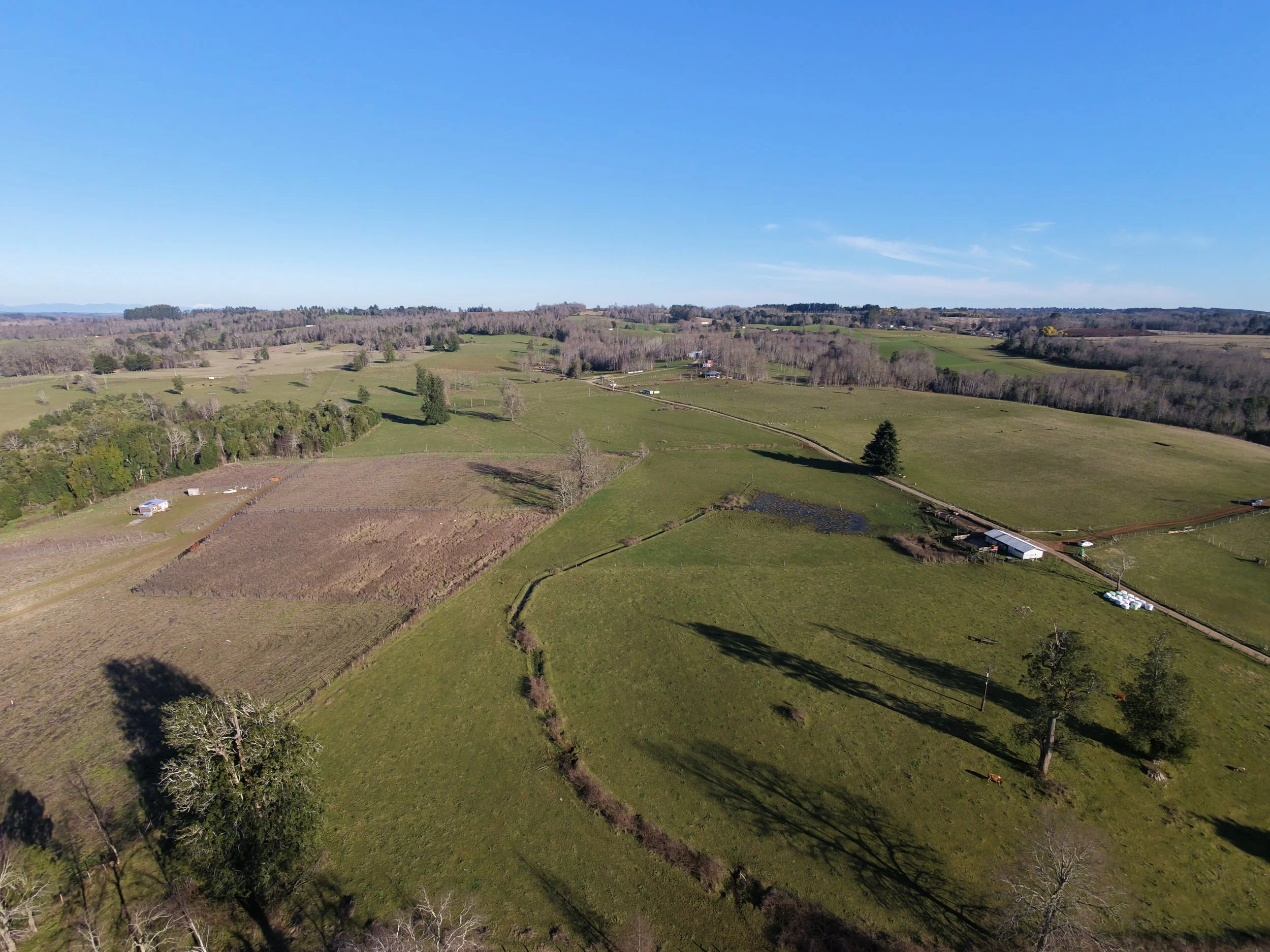 DJI_20260823162338_0043_D.JPG