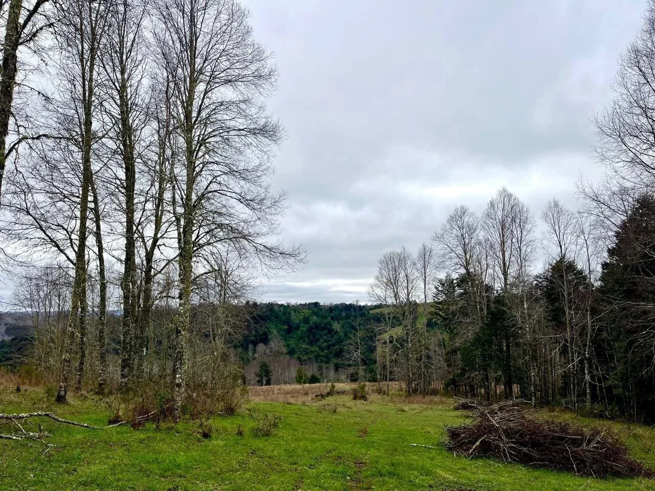 EN VENTA - Terreno de 3 hectáreas en Llico Alto, Fresia