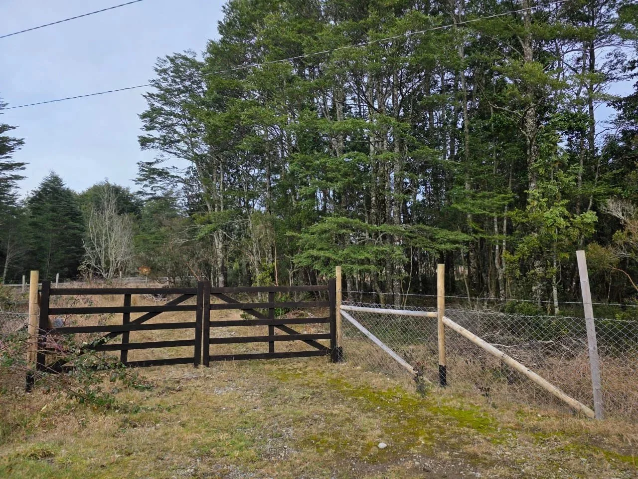 EN VENTA - Parcela de 5.000 m² en Chaqueihua, Puerto Montt
