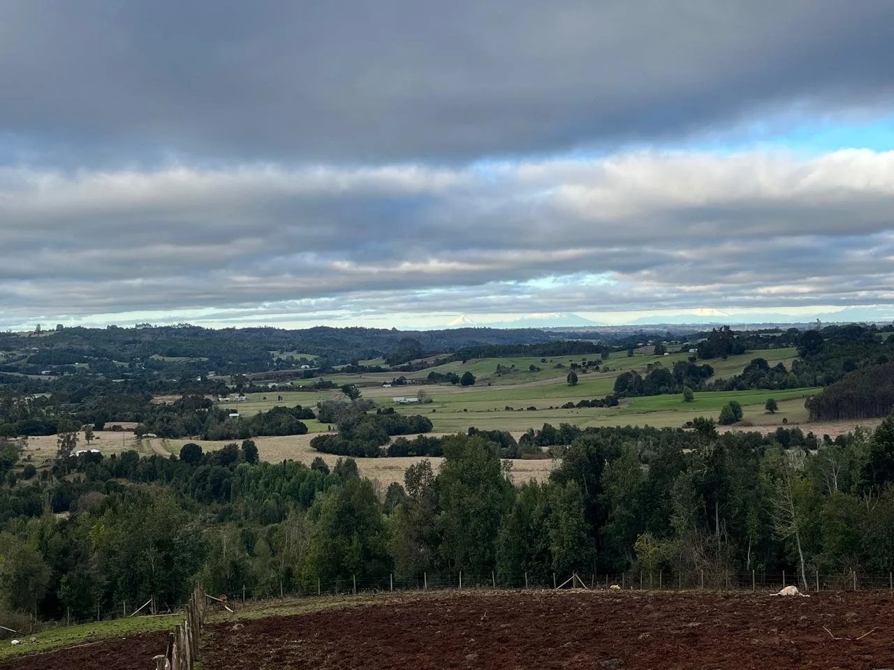 VENTA/ARRIENDO - Campo de 47 hectáreas en Rincón Ánima, Los Muermos