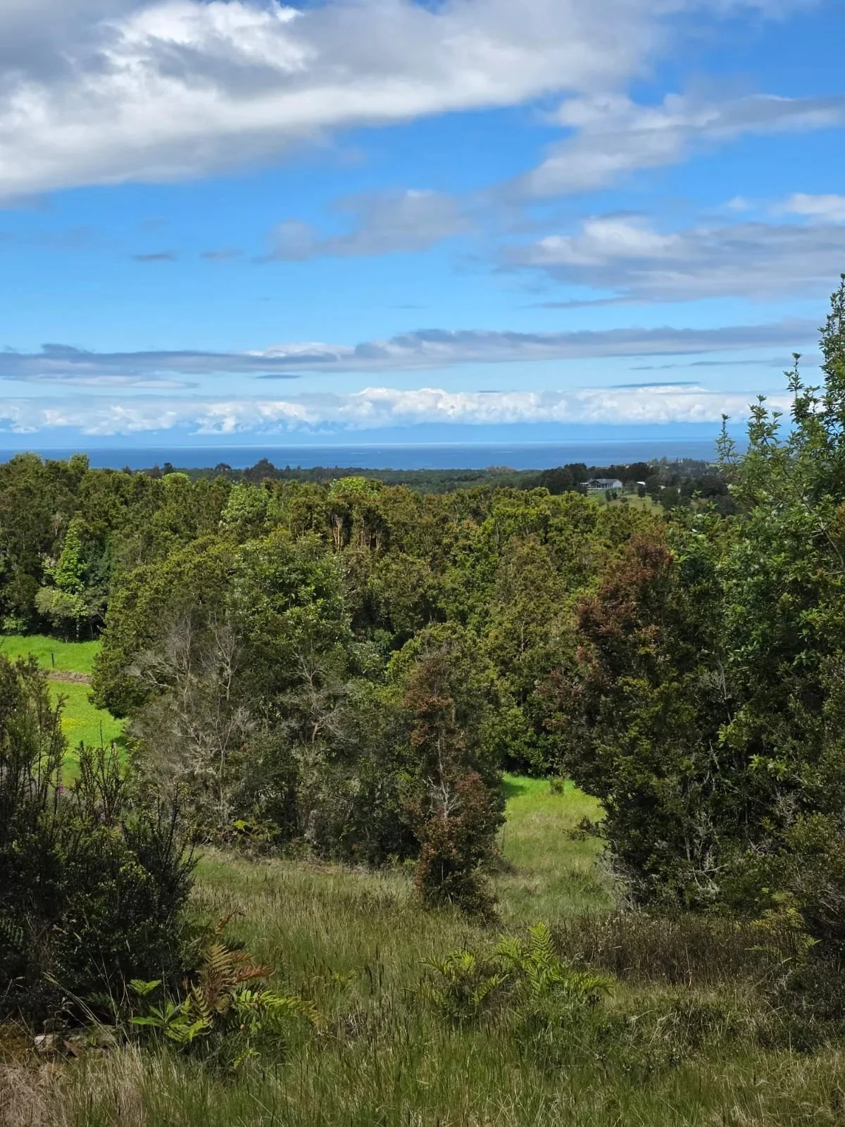 EN VENTA - 3 unidades con vista al mar en Aitui, Queilén, Chiloé