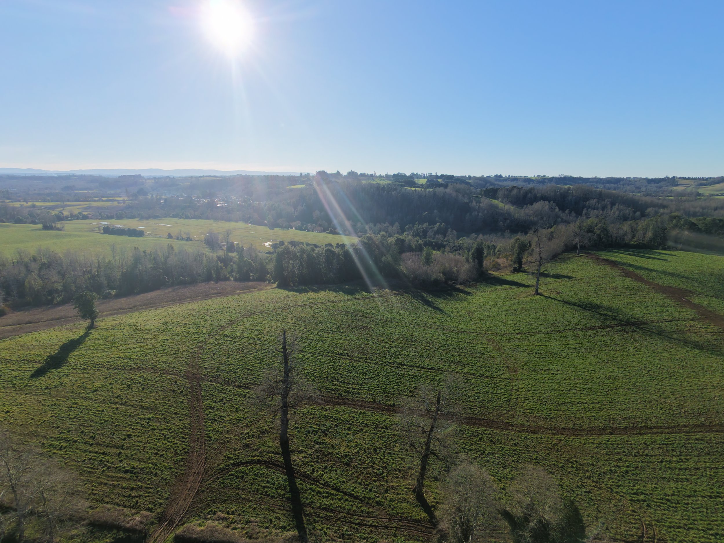 DJI_20260823162126_0036_D.JPG