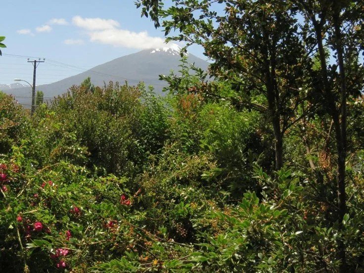 29_Imagen34.jpg