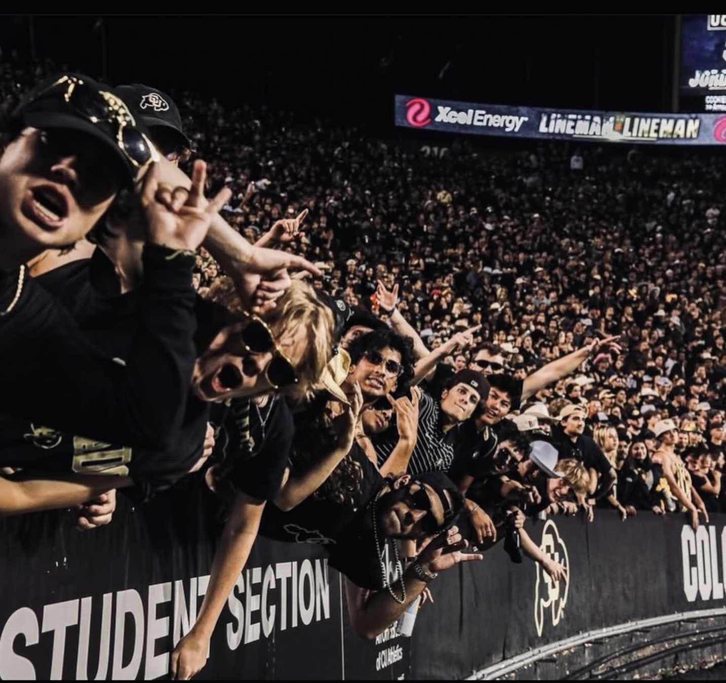 Crowd of fans at a sports event in a stadium, some making hand gestures, some with sunglasses, and many cheering.