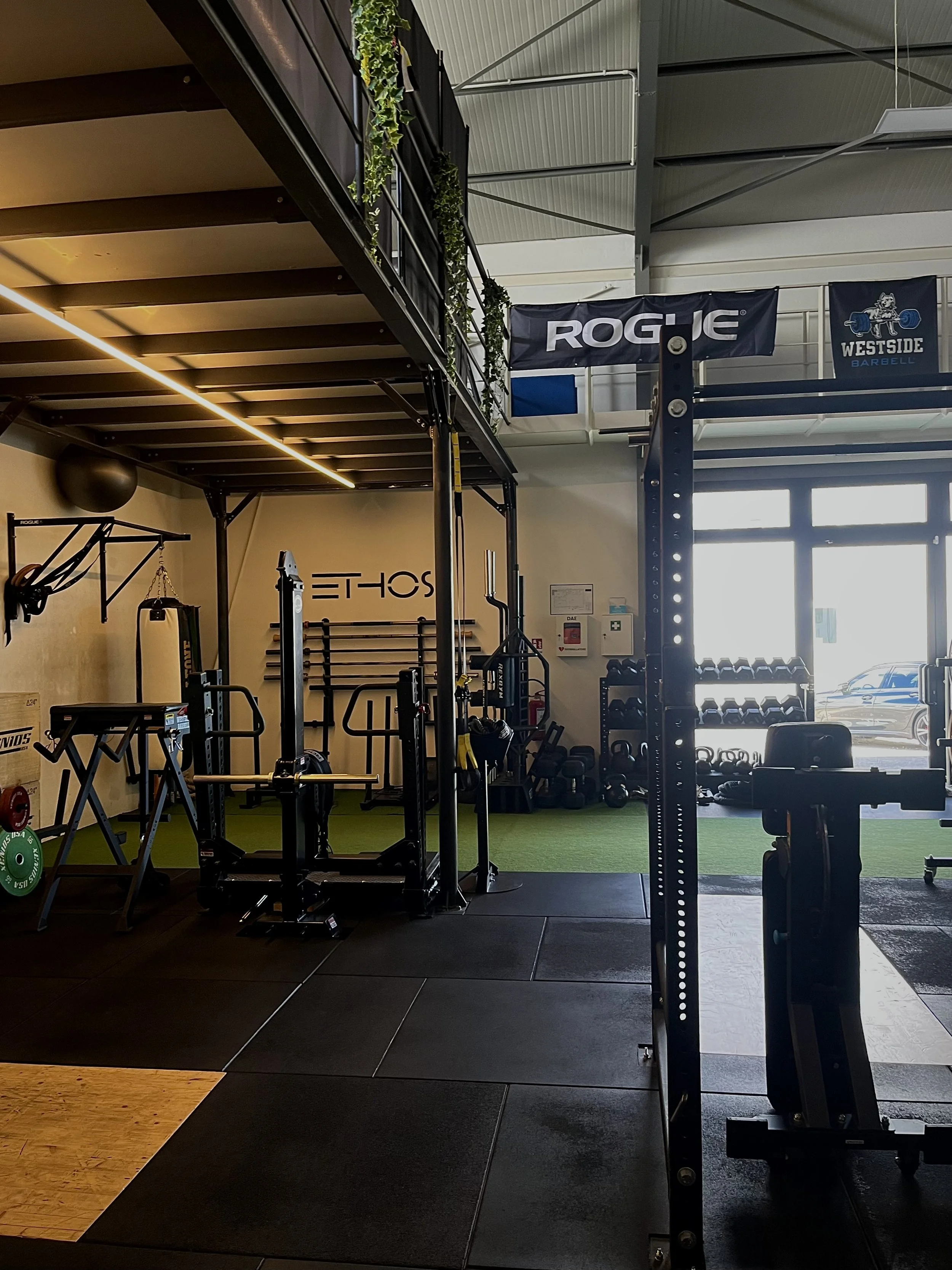Palestra con attrezzature per sollevamento pesi, manubri e kettlebell, con finestra che permette l'ingresso di luce naturale.