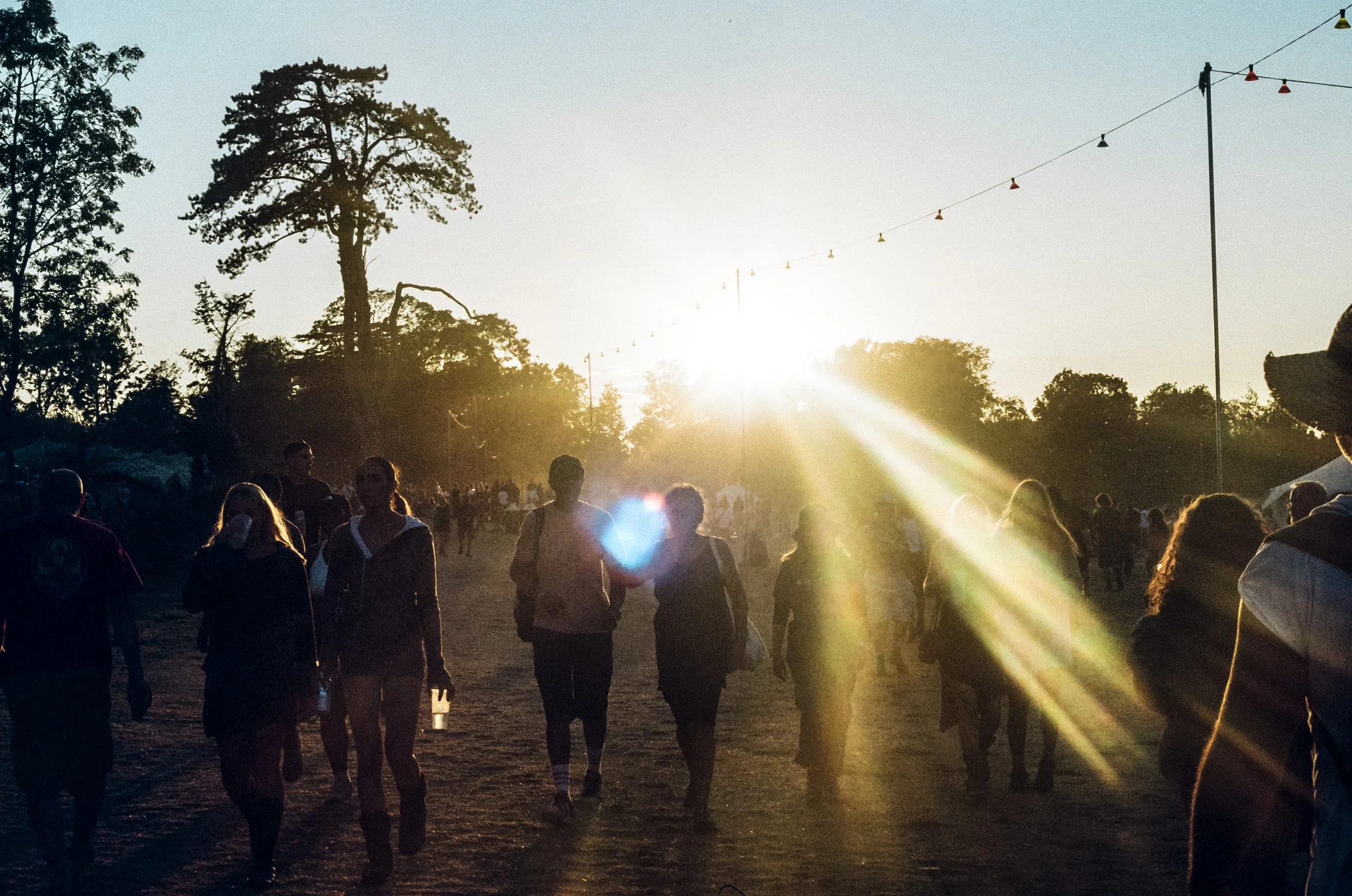 iamrosiewills-wohfestival-2026-3.jpg