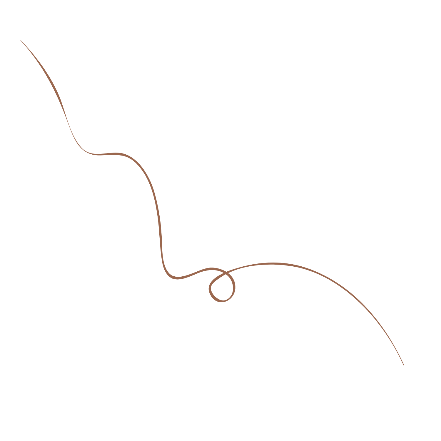 Black background with a thin, light brown, swirling line that loops and curves across the image.
