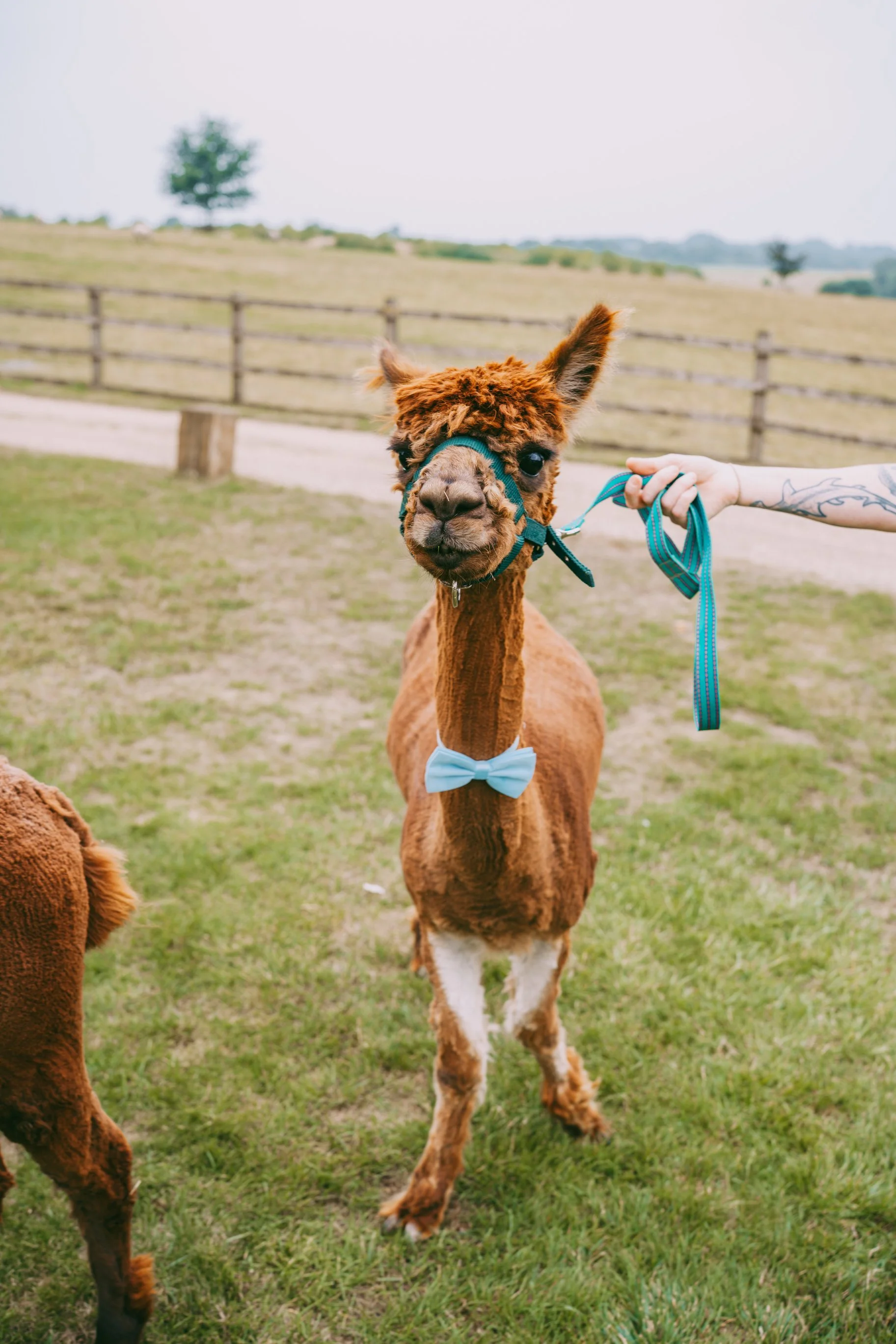 DodfordManor Wedding Day Recommended Wedding photographer (32).jpg