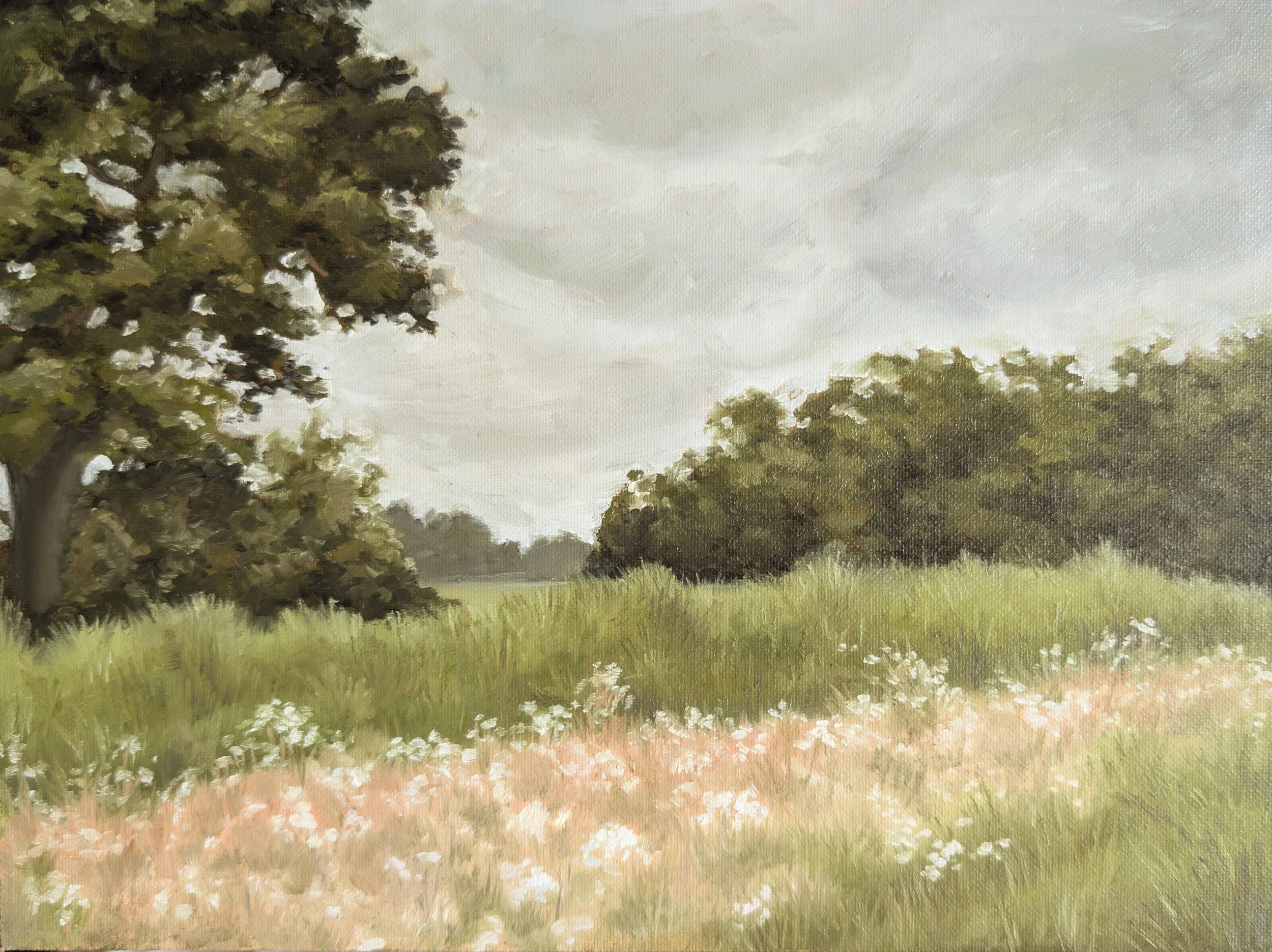 Where The Flowers Roam