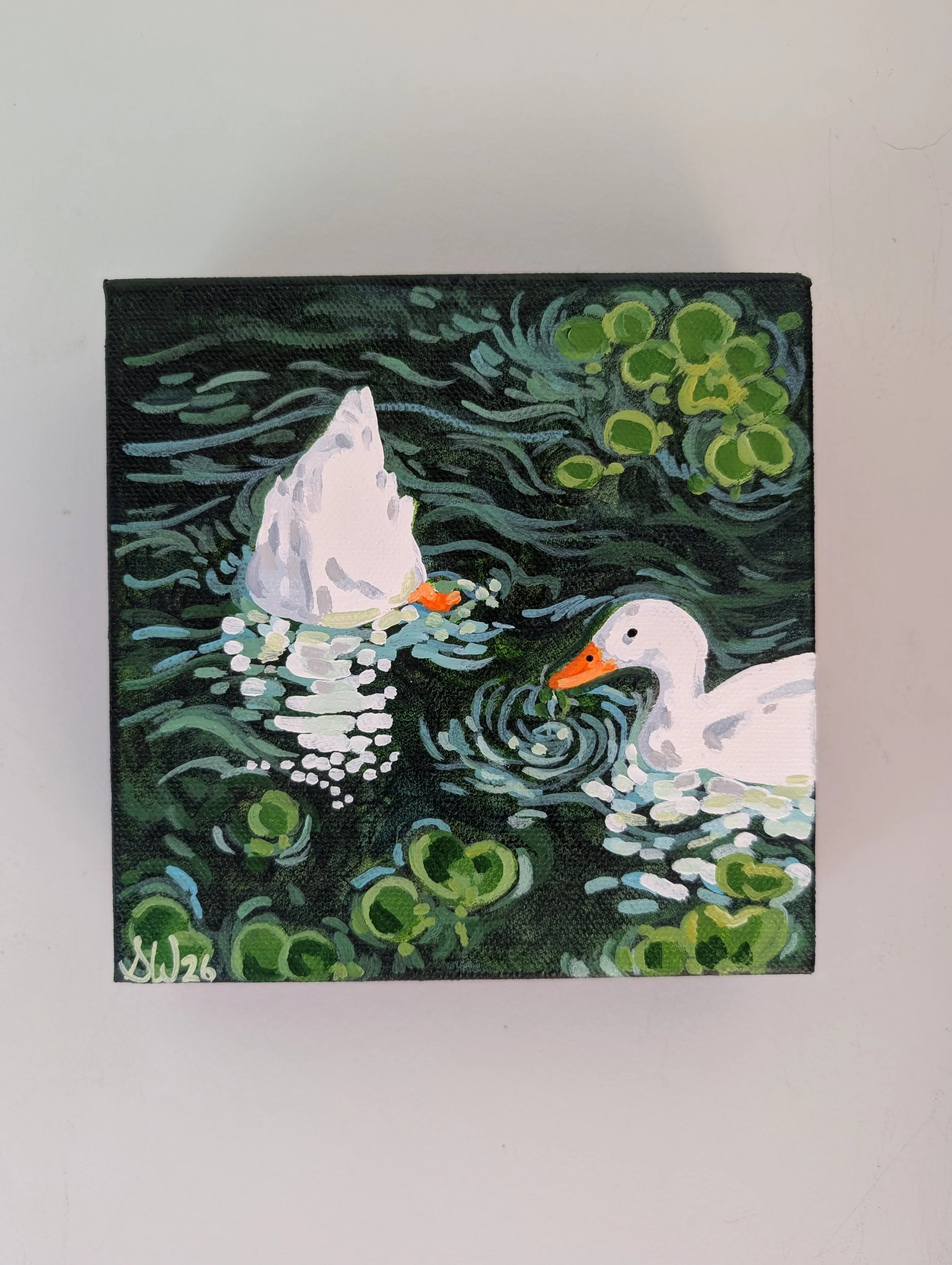 Talk To The Tail Feathers Series