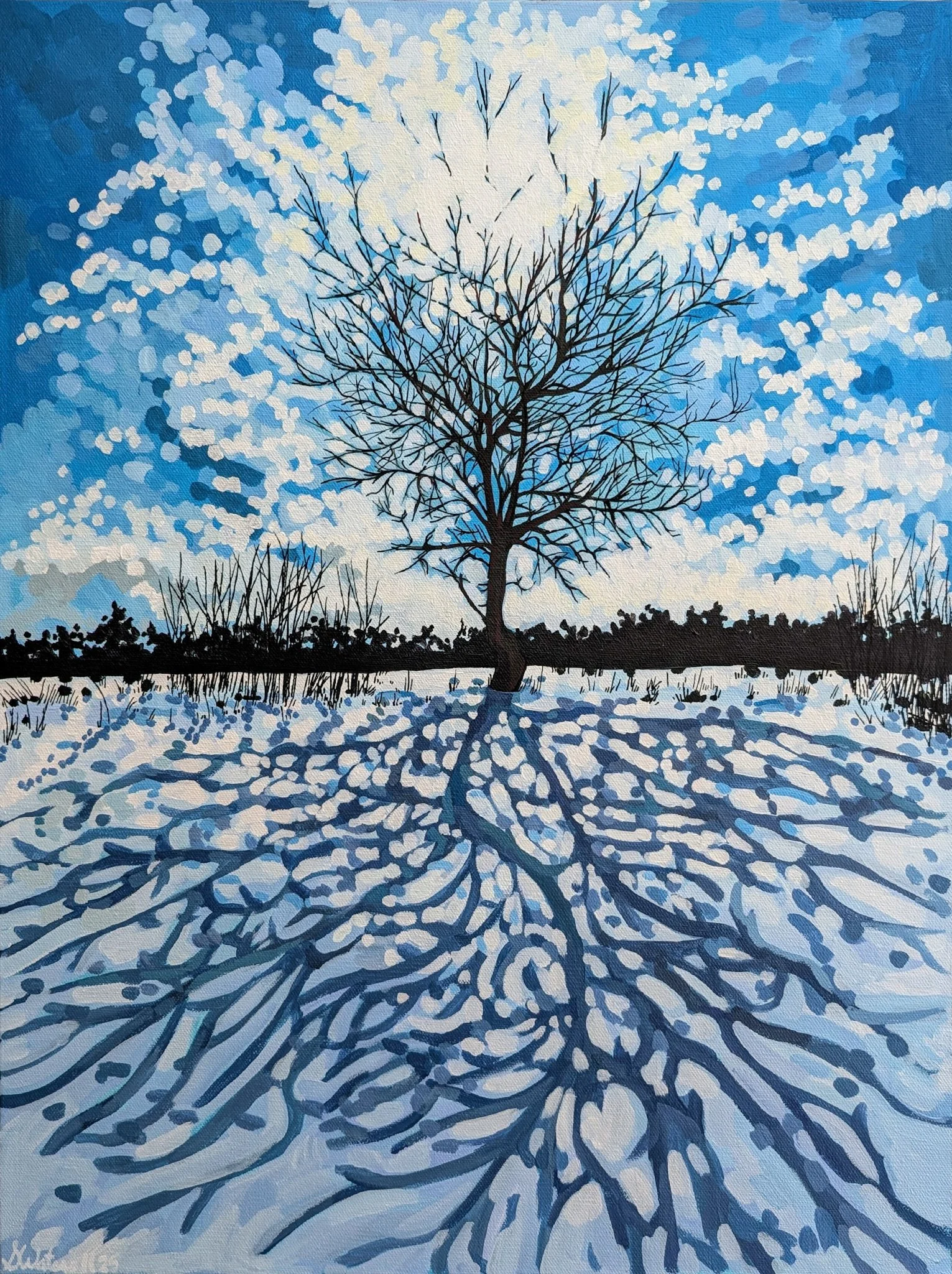 Winter's Long Shadow