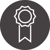 Icon of a medal with a ribbon in a circular badge