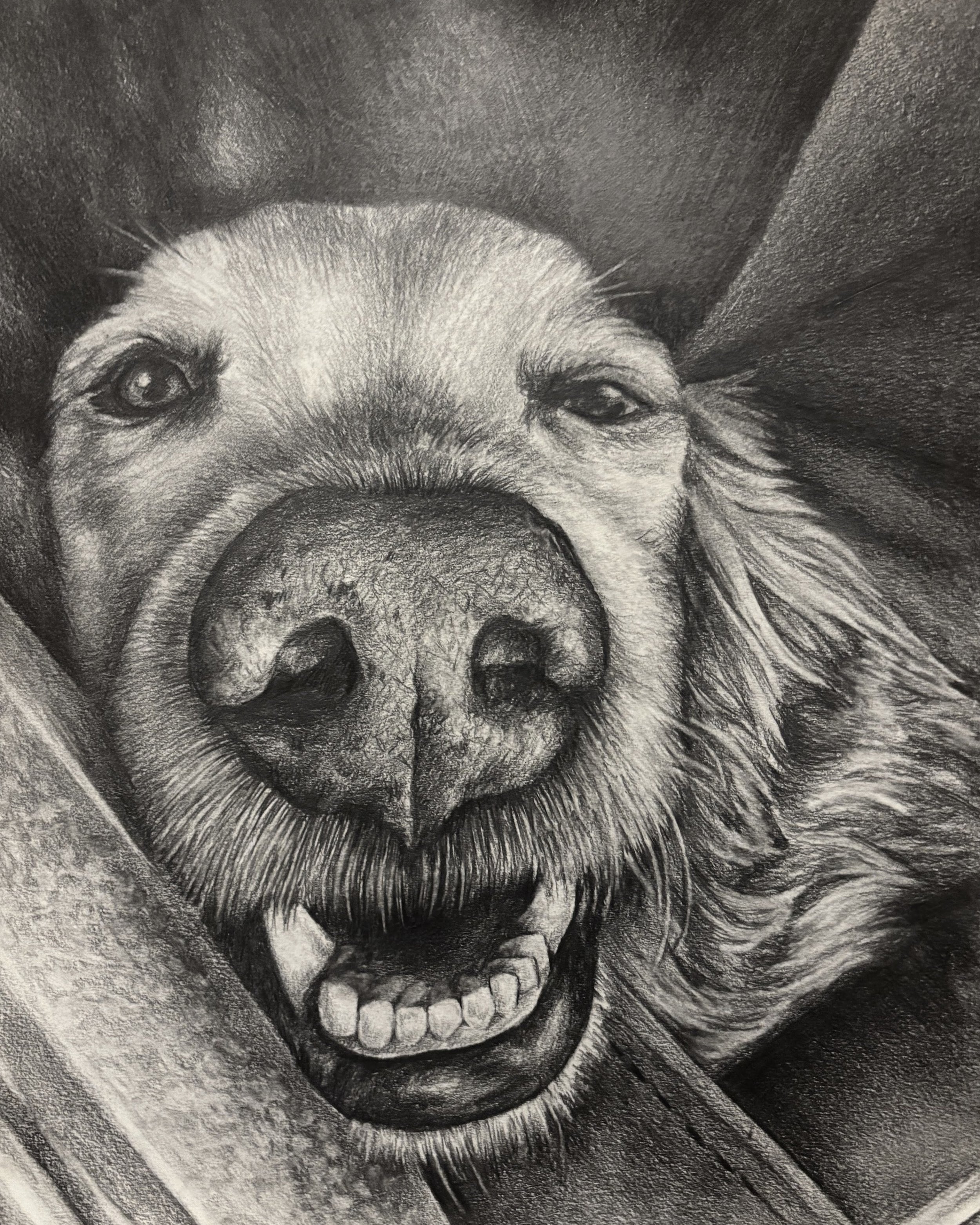 A detailed black and white pencil drawing of a person's face, showing an intense expression with open mouth revealing teeth, and wide eyes.
