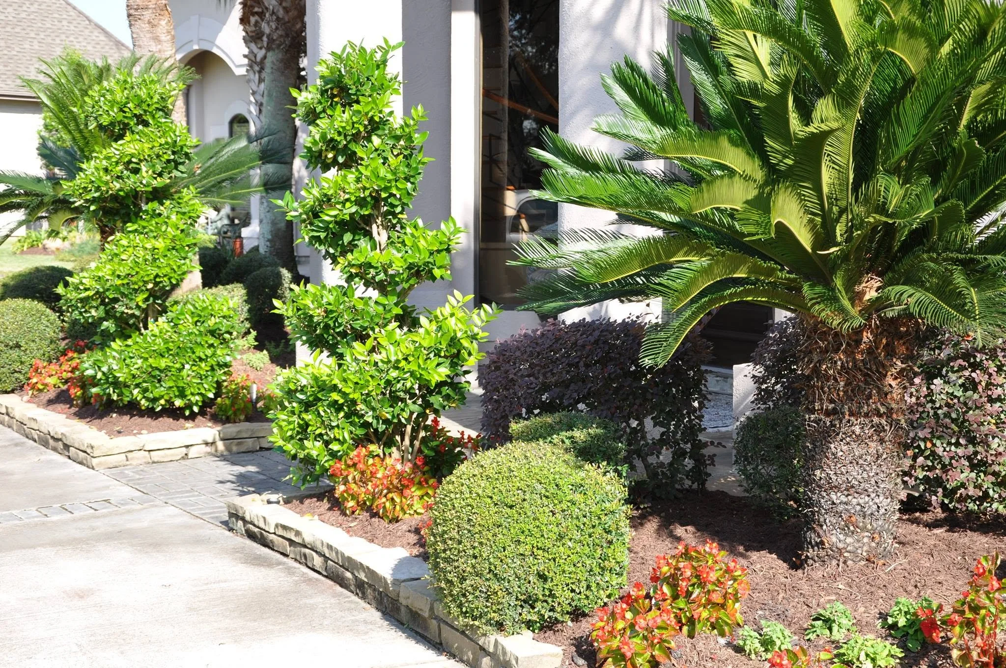 A well-maintained front yard with lush green plants, bushes, and small flowers, adjacent to a white house with large windows.