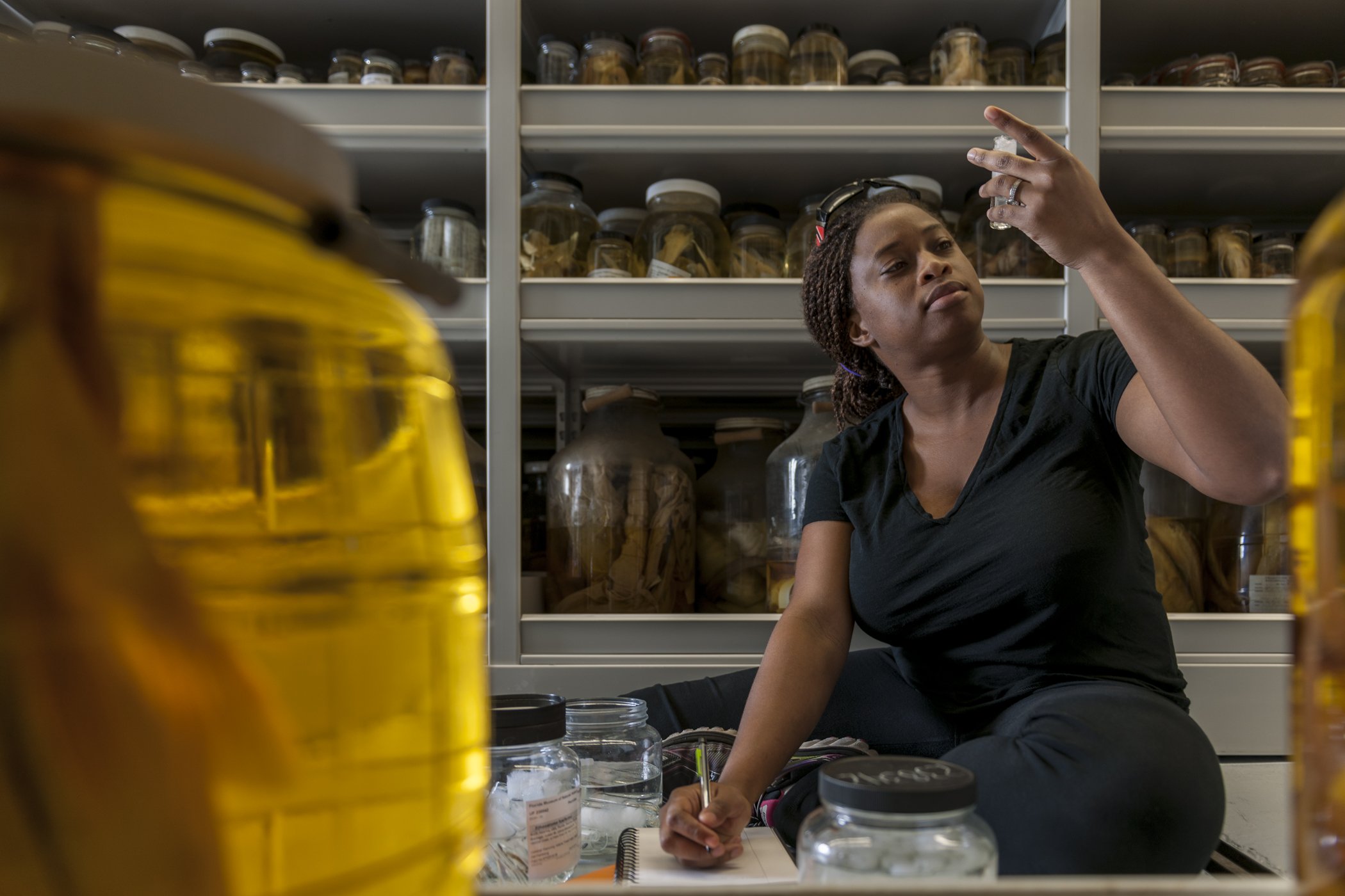 Dr. Adania Flemming examining an Etheostoma fusiforme specimen in a natural history collection, surrounded by jars of preserved specimens, during research for her master’s thesis on the species’ life history. Photo credit: Kristen Grace