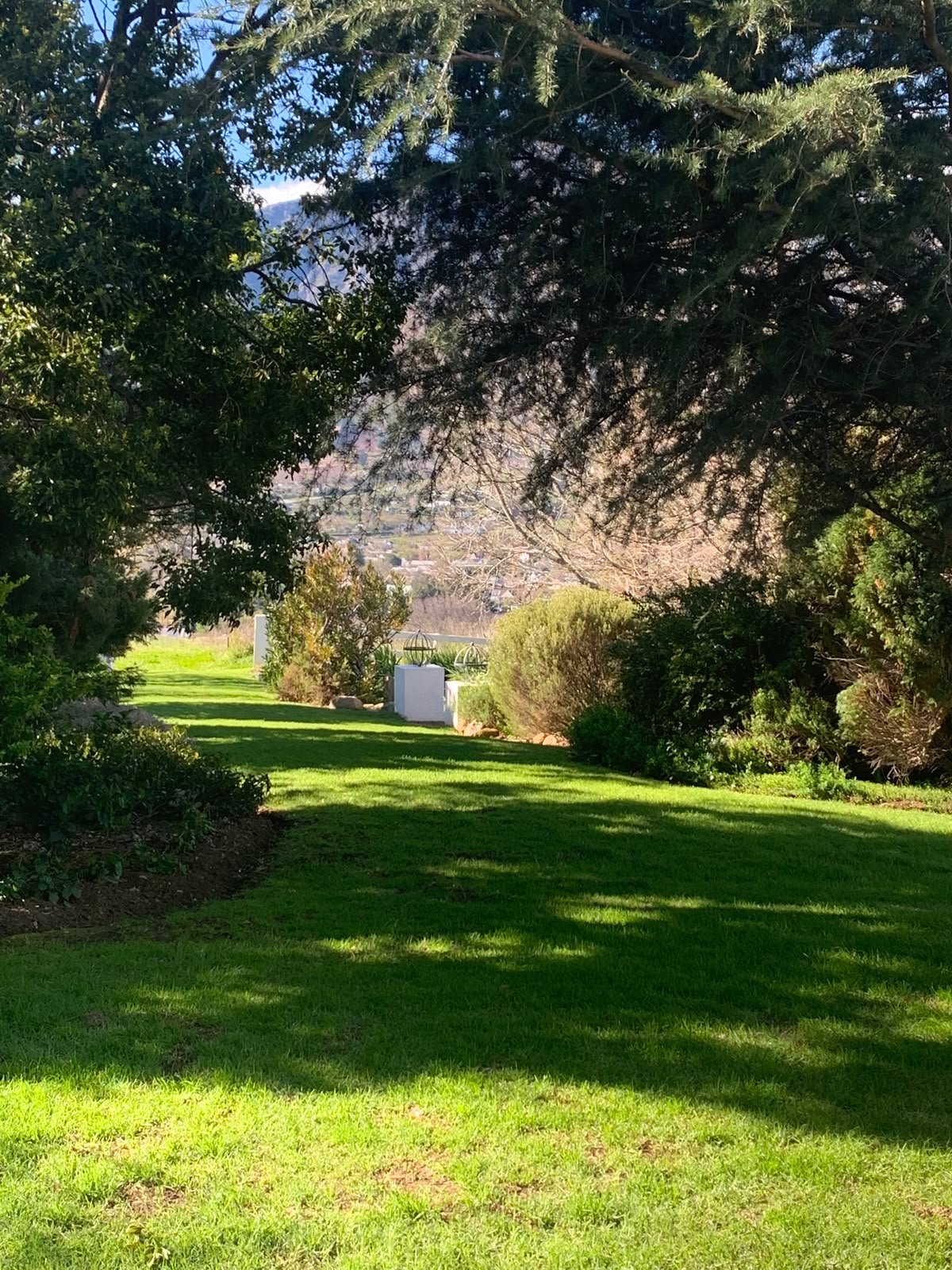 A lush green park with neatly trimmed grass, surrounded by trees and bushes, with mountains in the background under a blue sky.