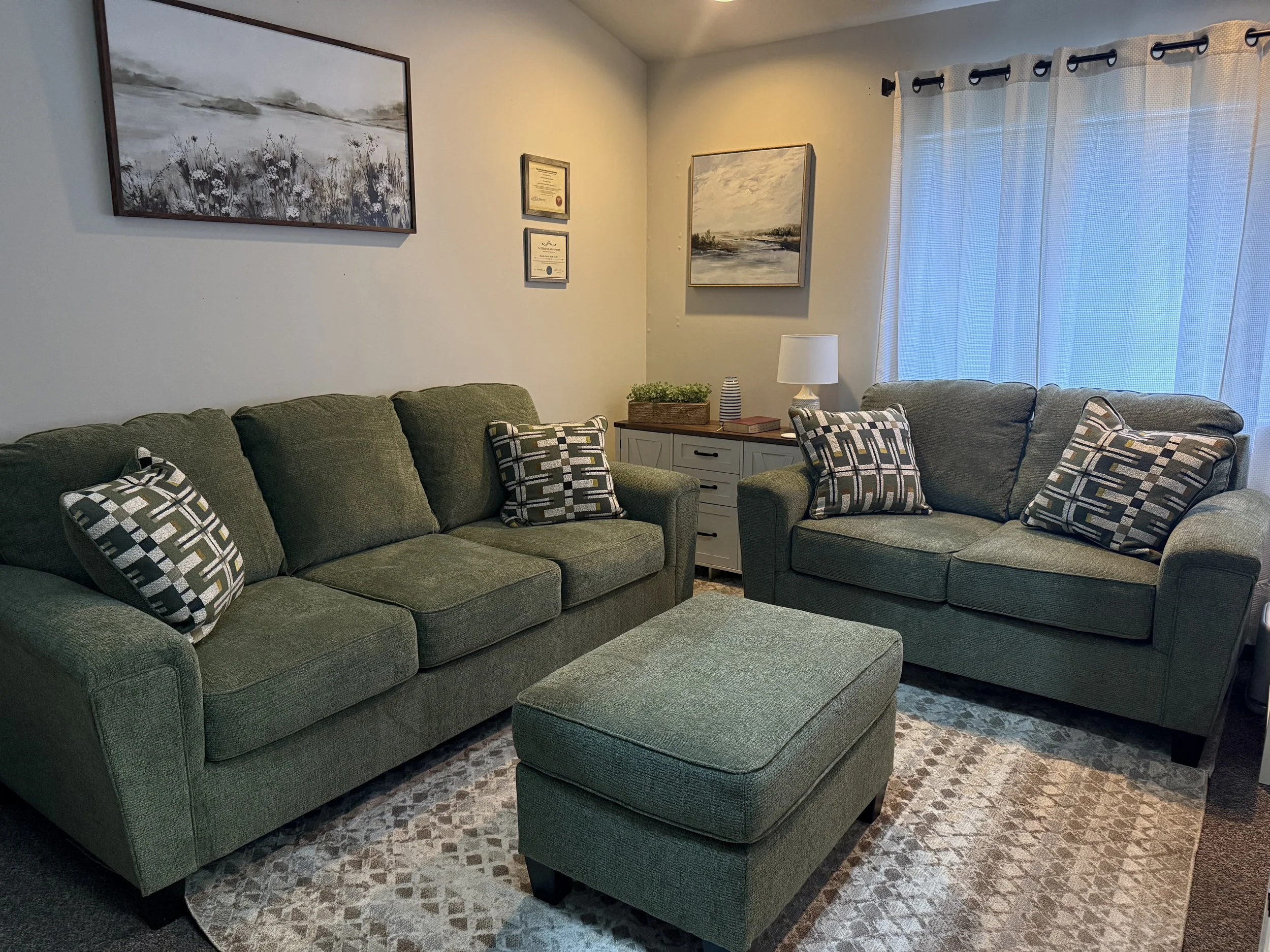 Living room with gray-green sofas, patterned pillows, a matching ottoman, a patterned rug, framed artwork and certificates on the wall, a white side table with plants and decorative items, and a window with sheer curtains letting in natural light.