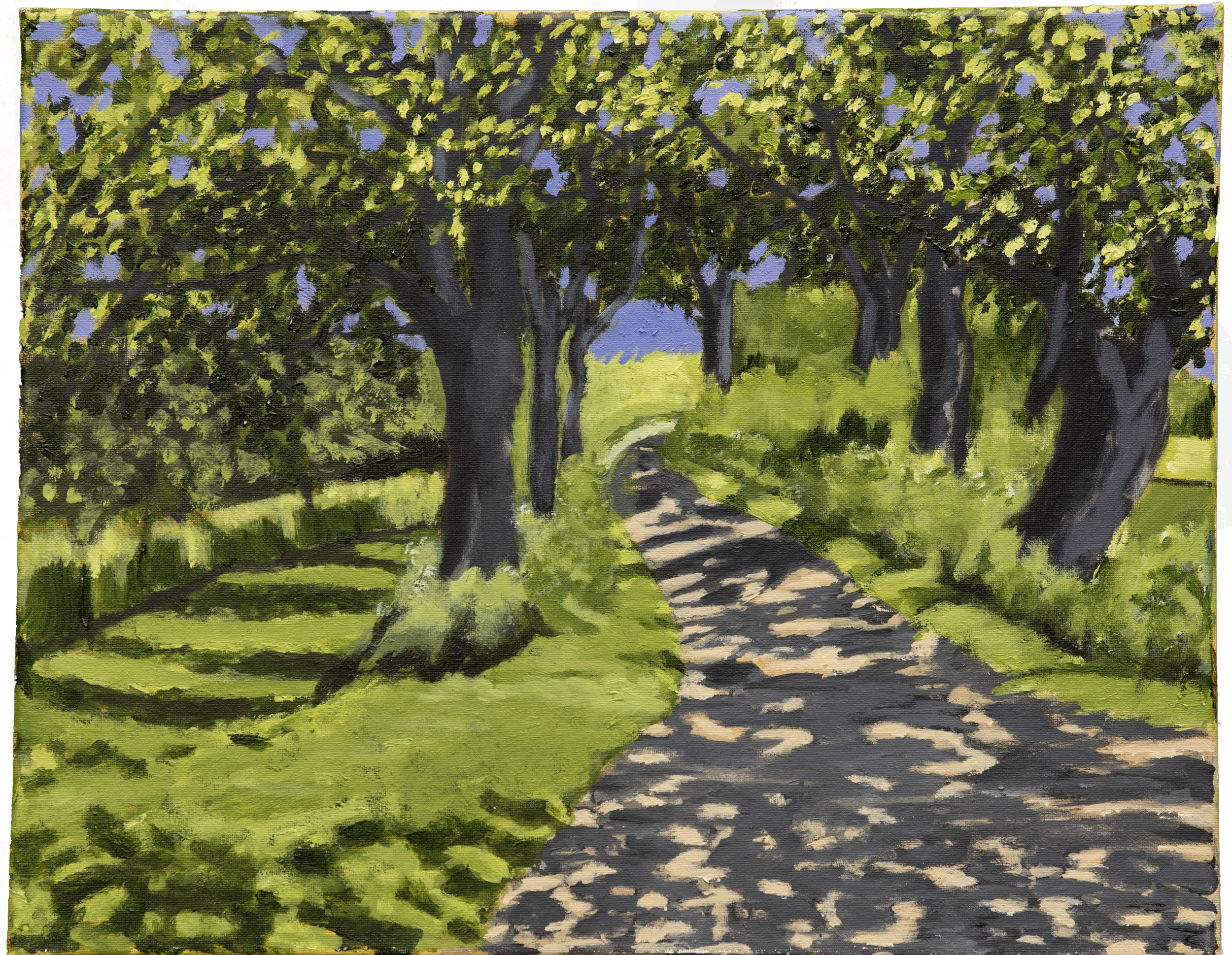 Tree avenue by Jill Spence.png