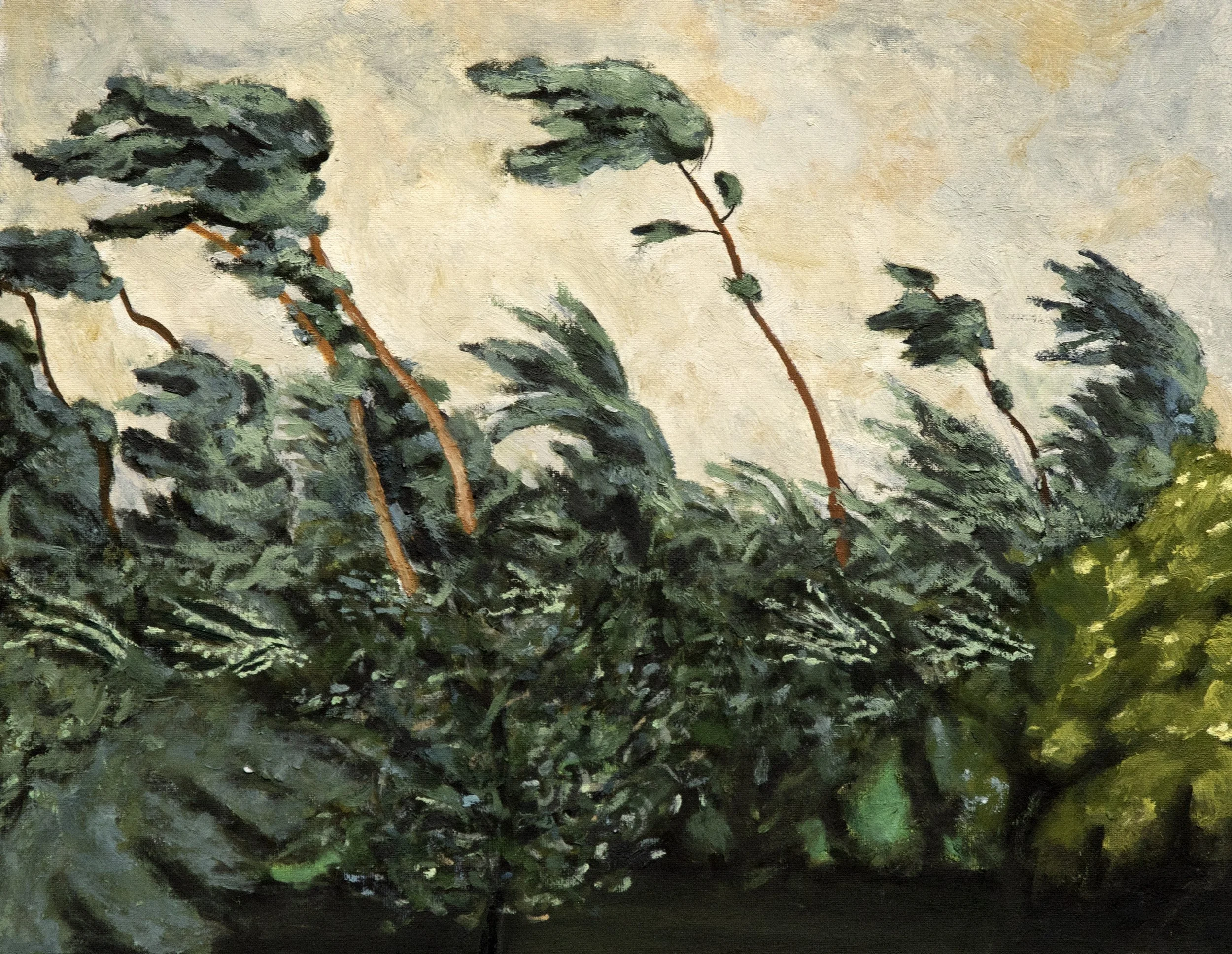 Wind tossed trees.jpg