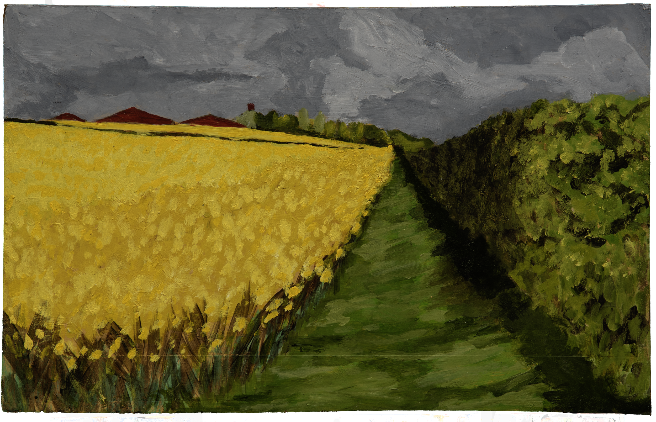 DSC_5348.png