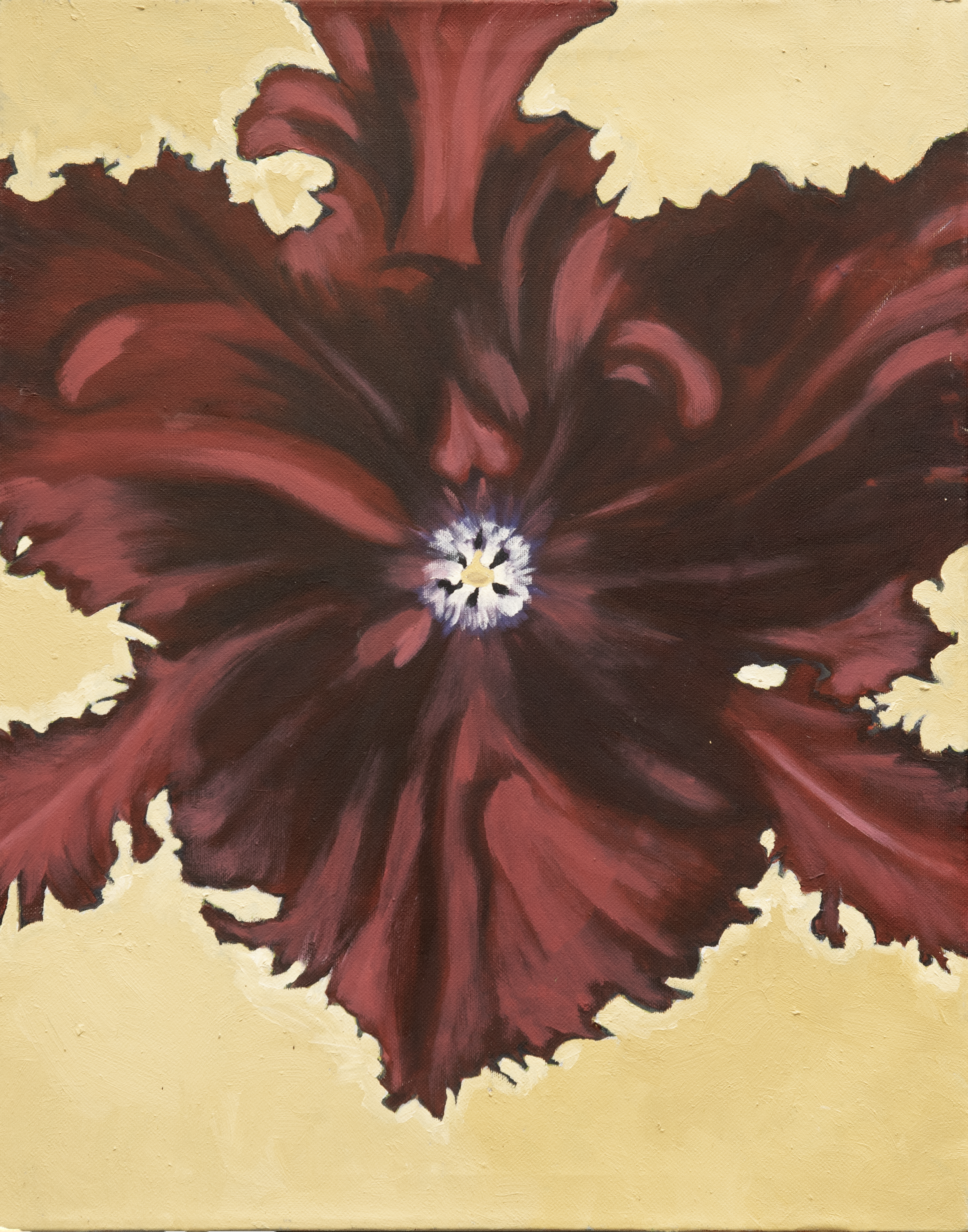 Flower painting by Jill Spence.png
