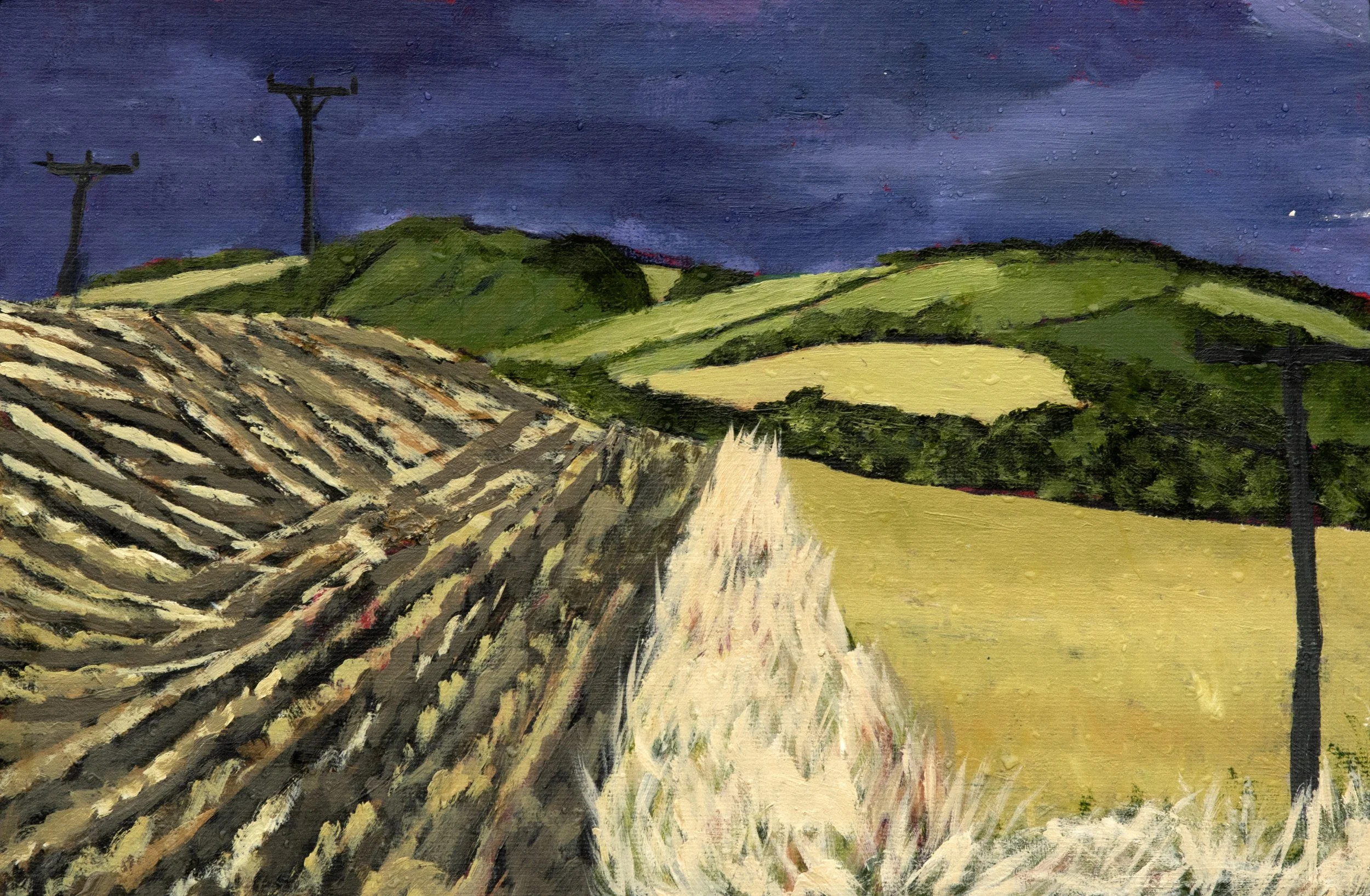 Summer fields by Jill Spence.jpg