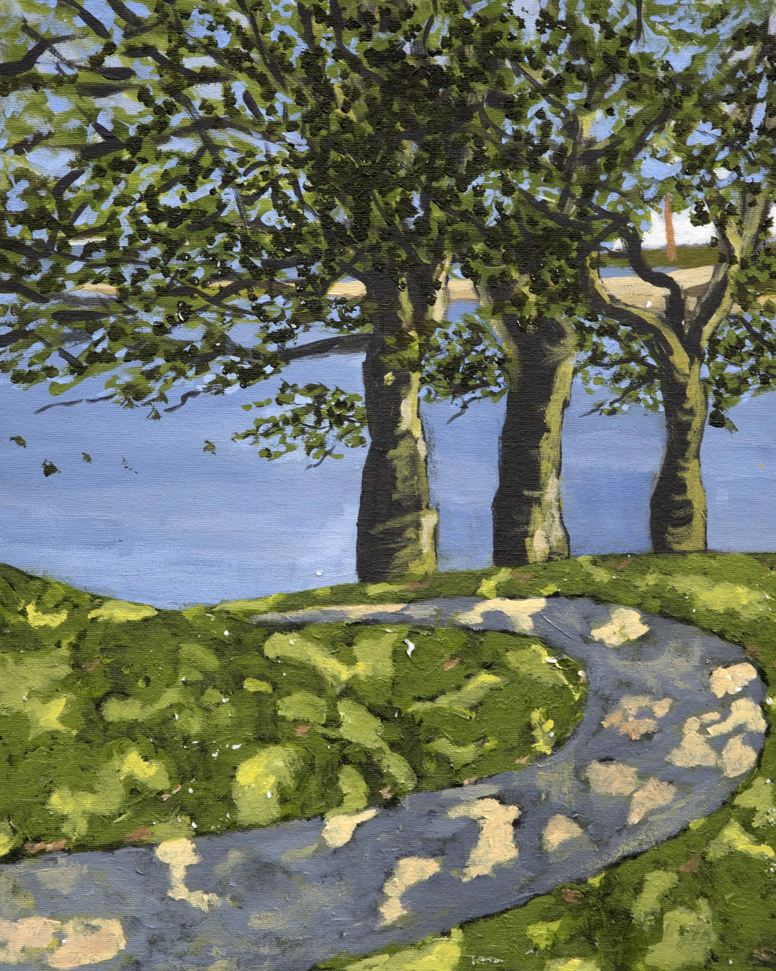 Sunlit path by Jill Spence.jpg