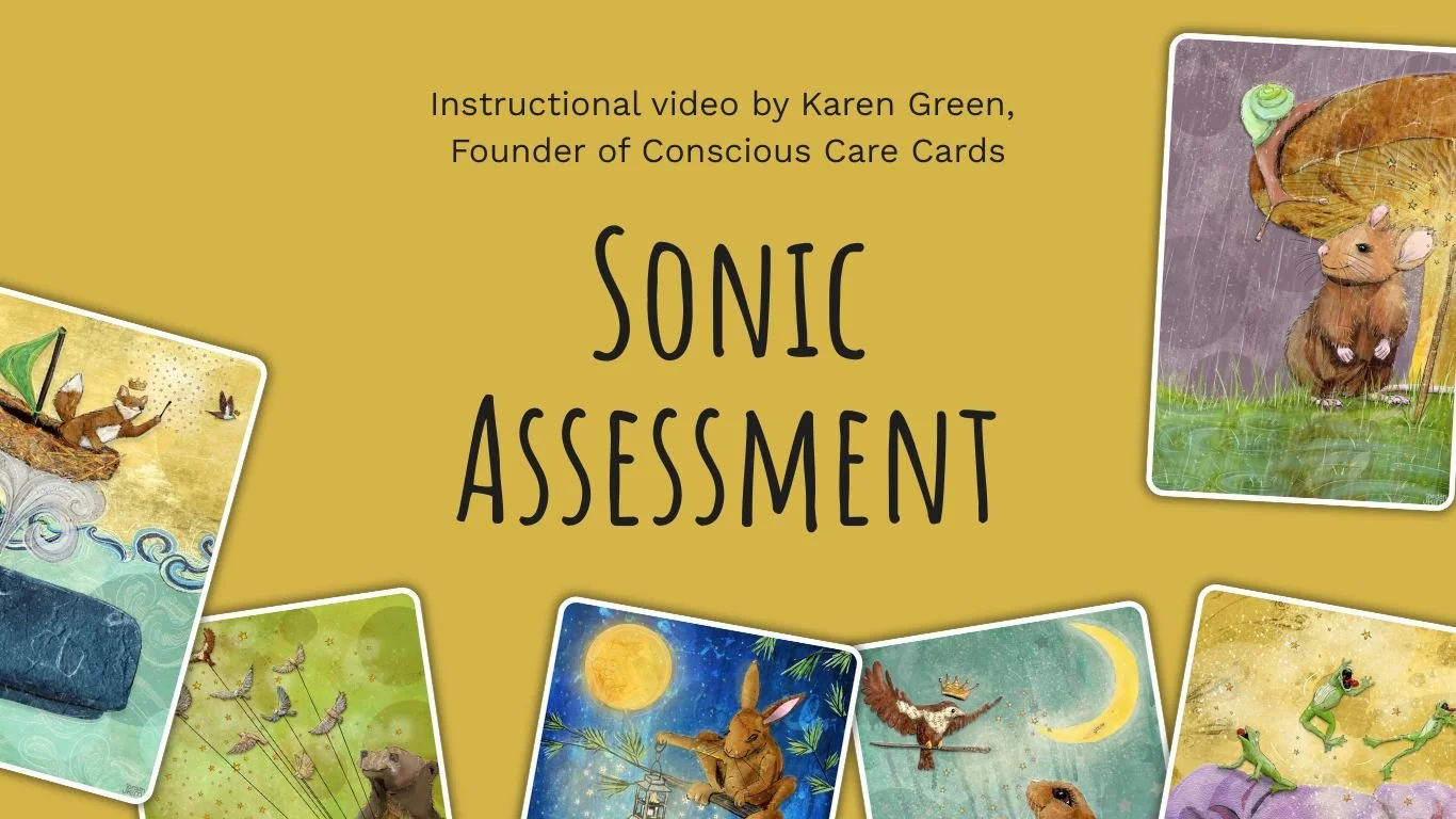 Sonic Assessment